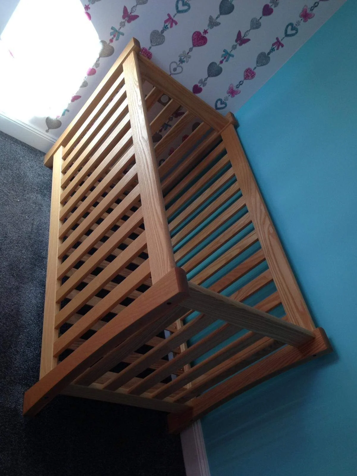 2.1) Specialised!.JPG