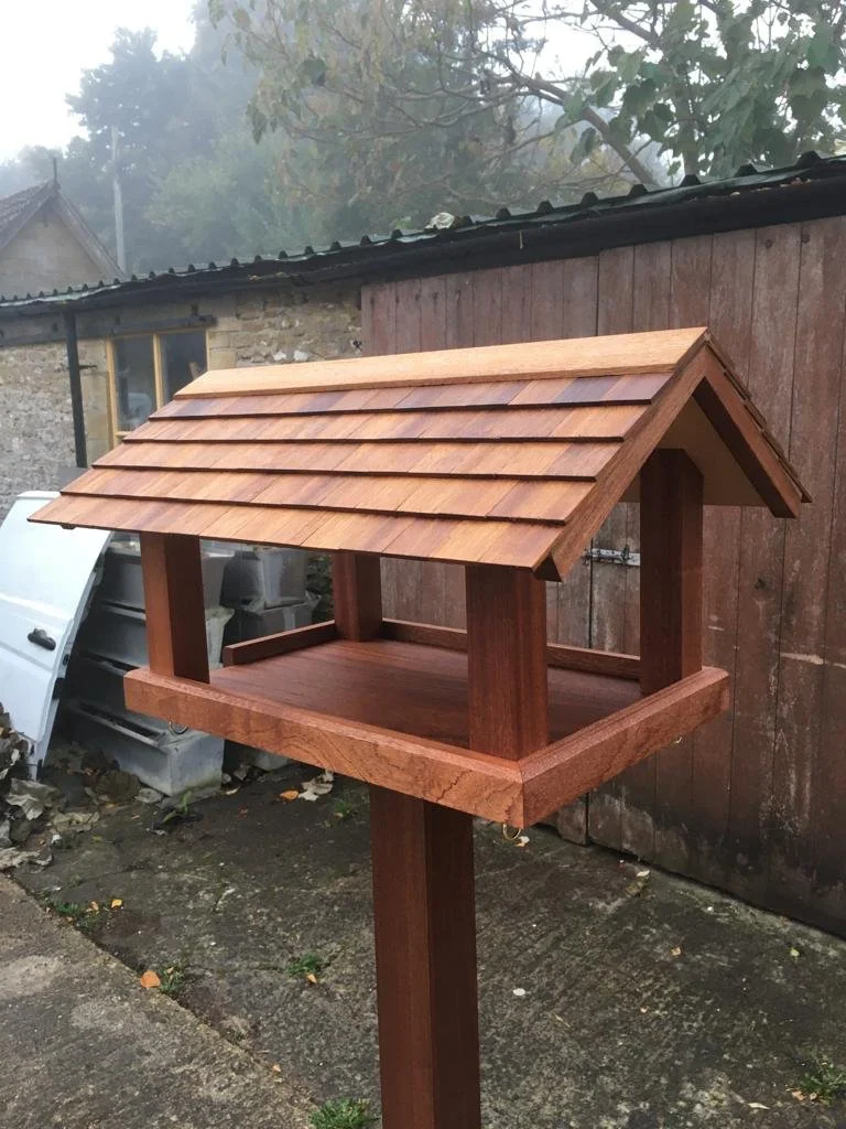 7.1) Specialised!.JPG