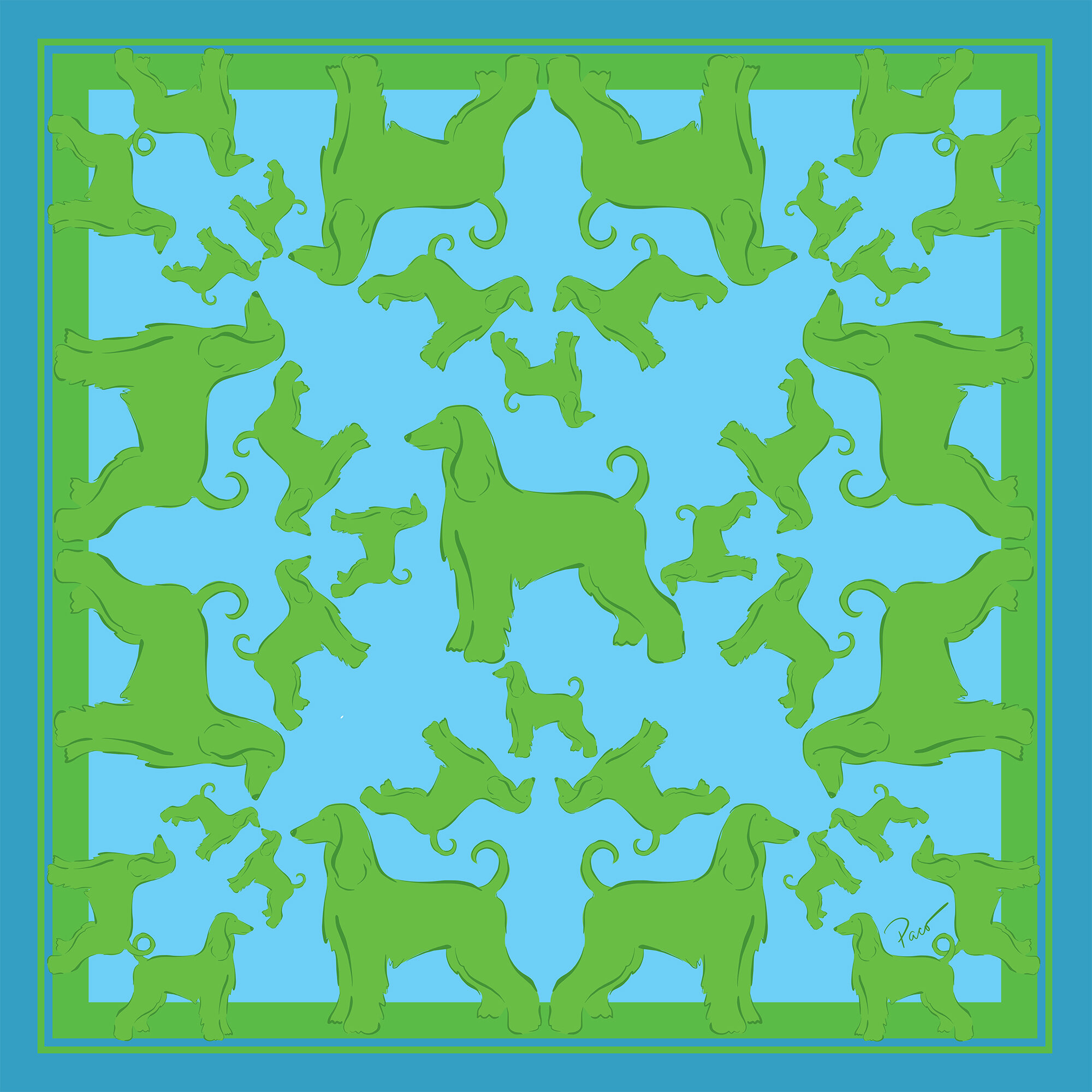afghan hound 2 2000.jpg