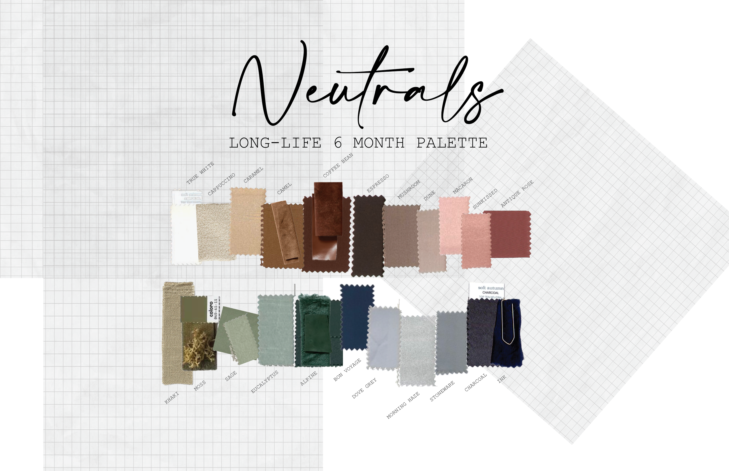 NEUTRALS PALETTE.png