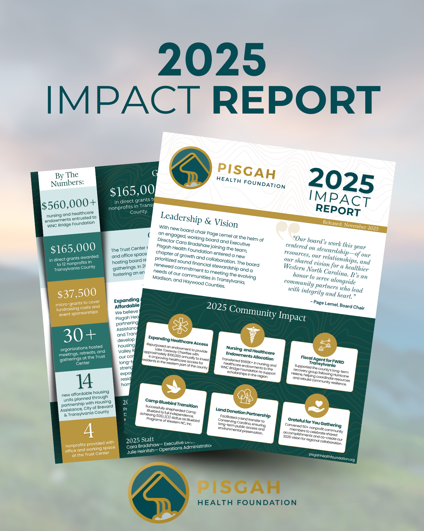 2025 Annual Impact Report