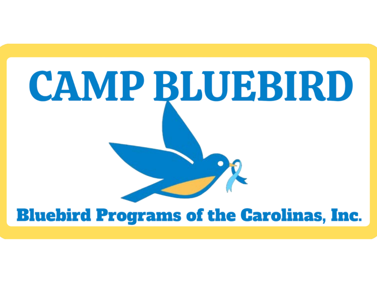 Camp Bluebird WNC