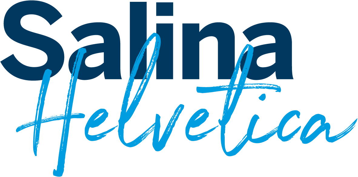 SaHe-Logo-HL-RGB-p-300 (1).png