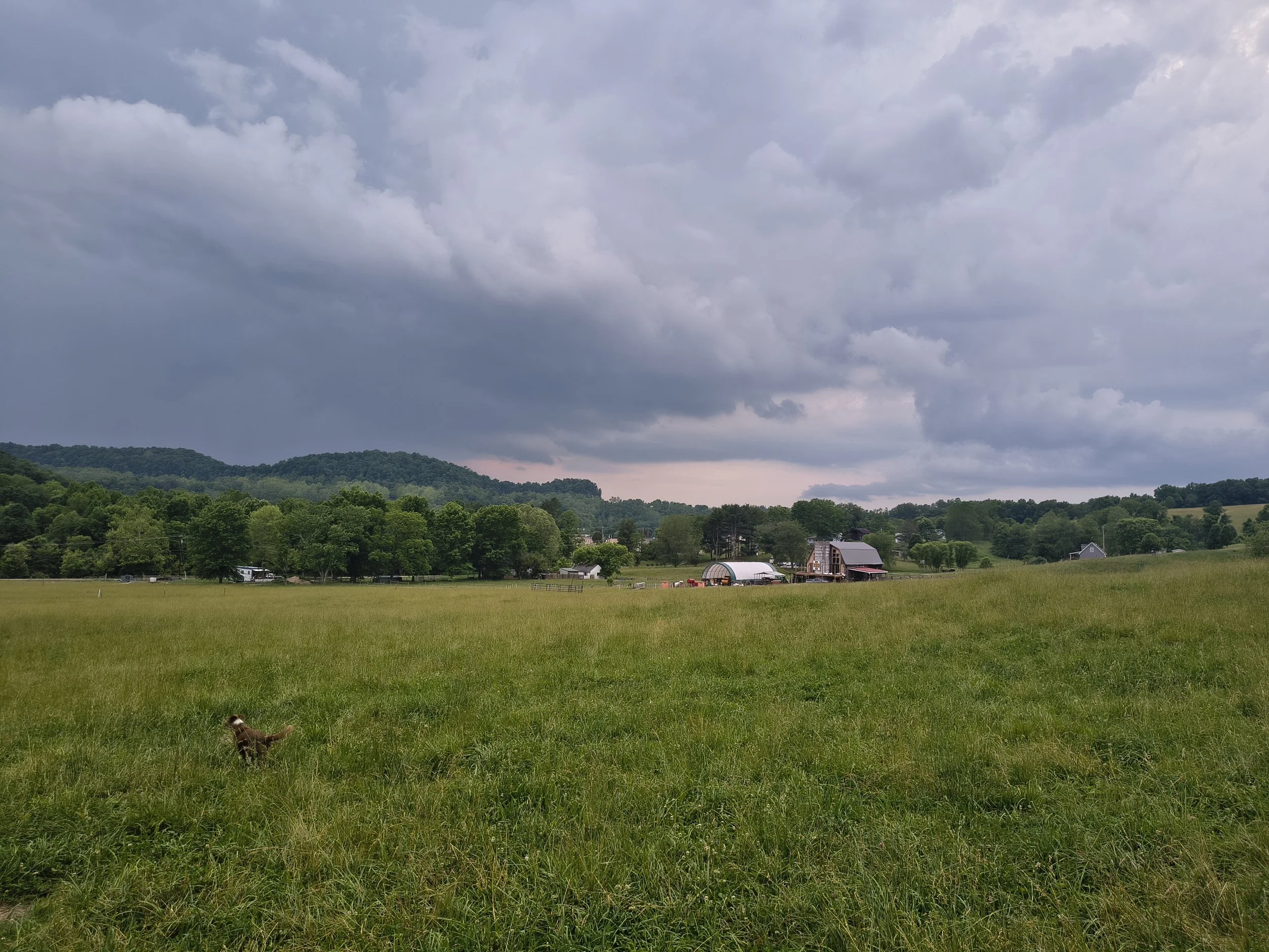 IMG_20260608_200114215_HDR.jpg
