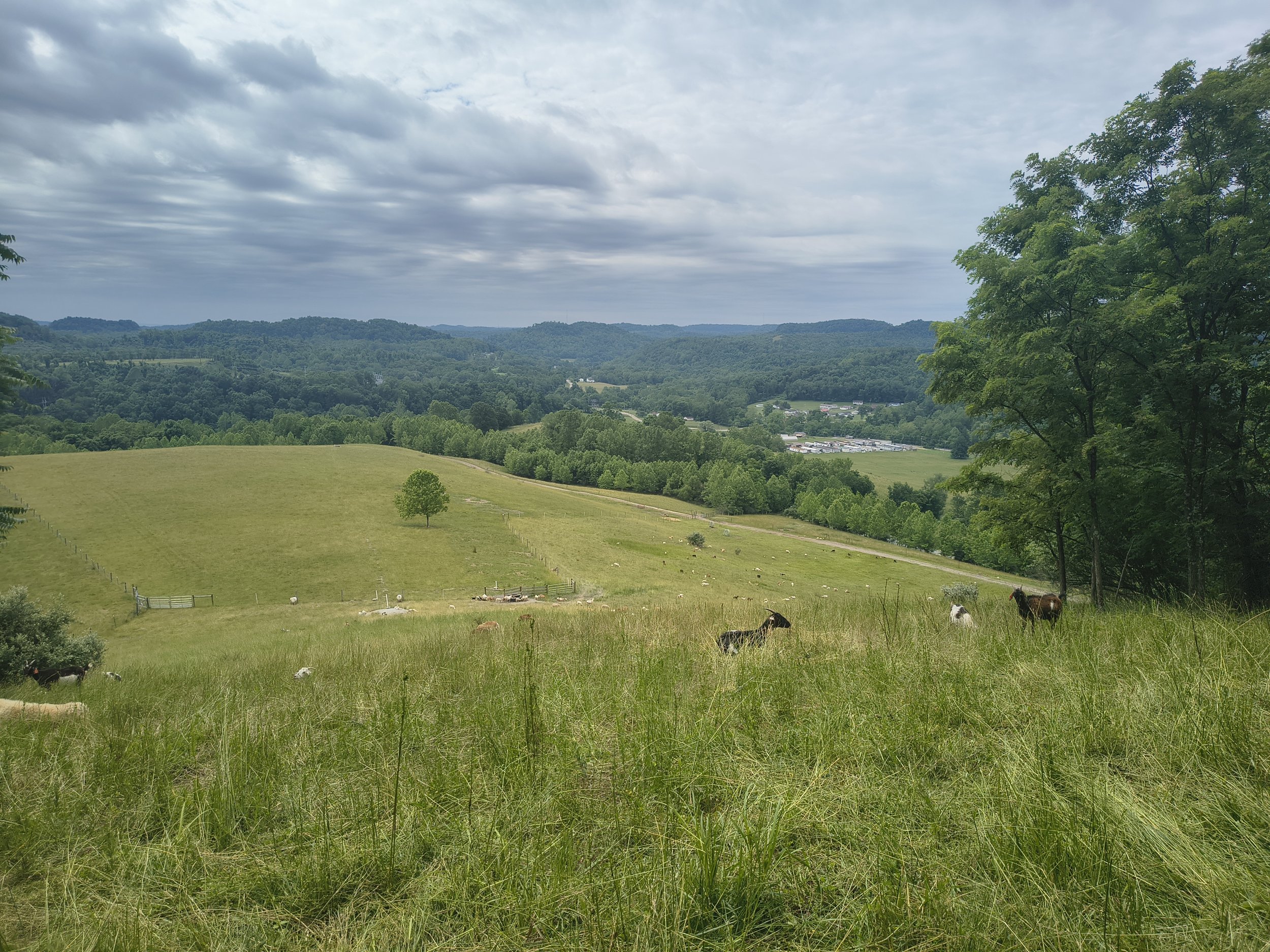 IMG_20260614_120039474_HDR.jpg