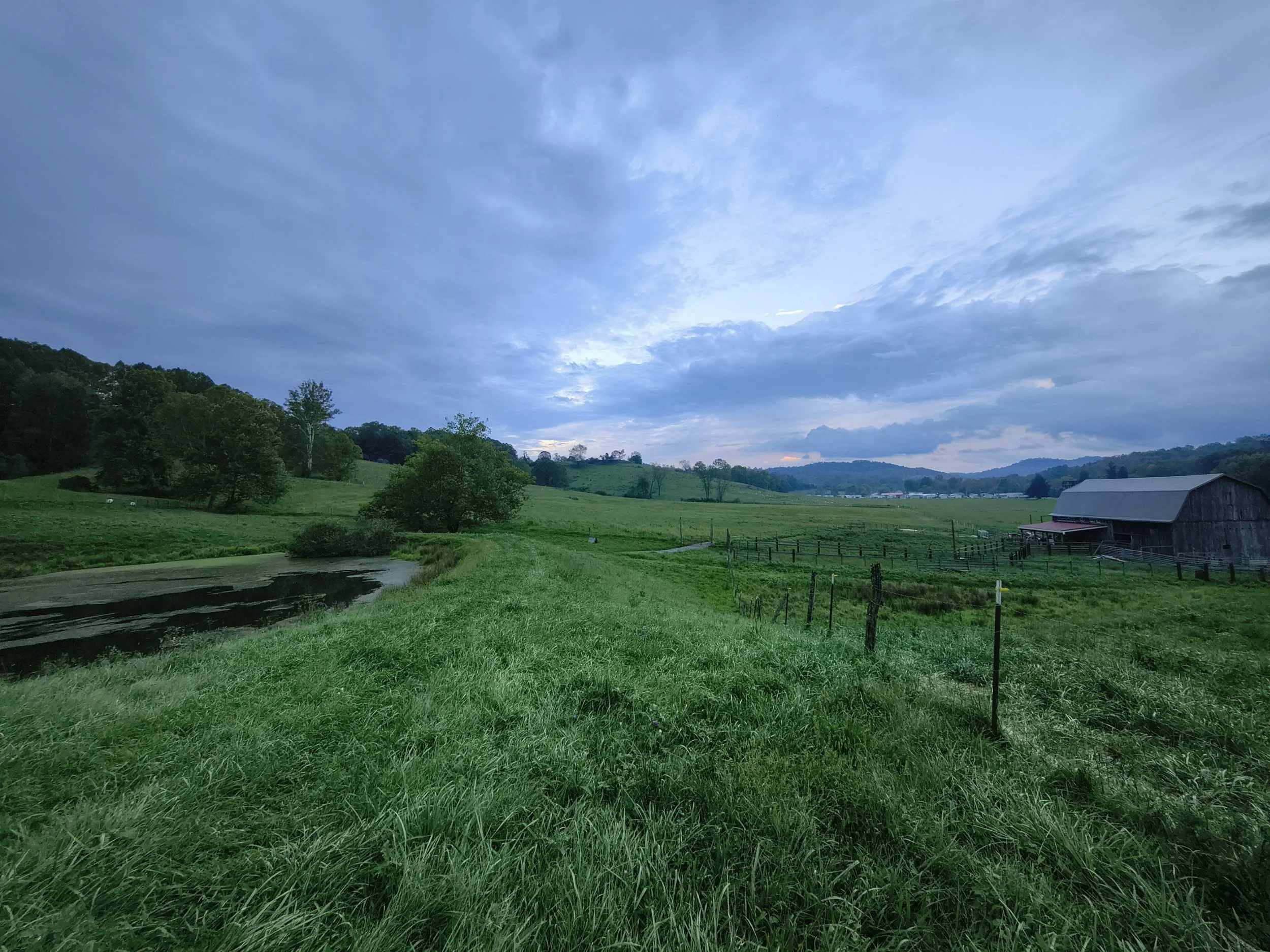 IMG_20260910_192454608_HDR.jpg