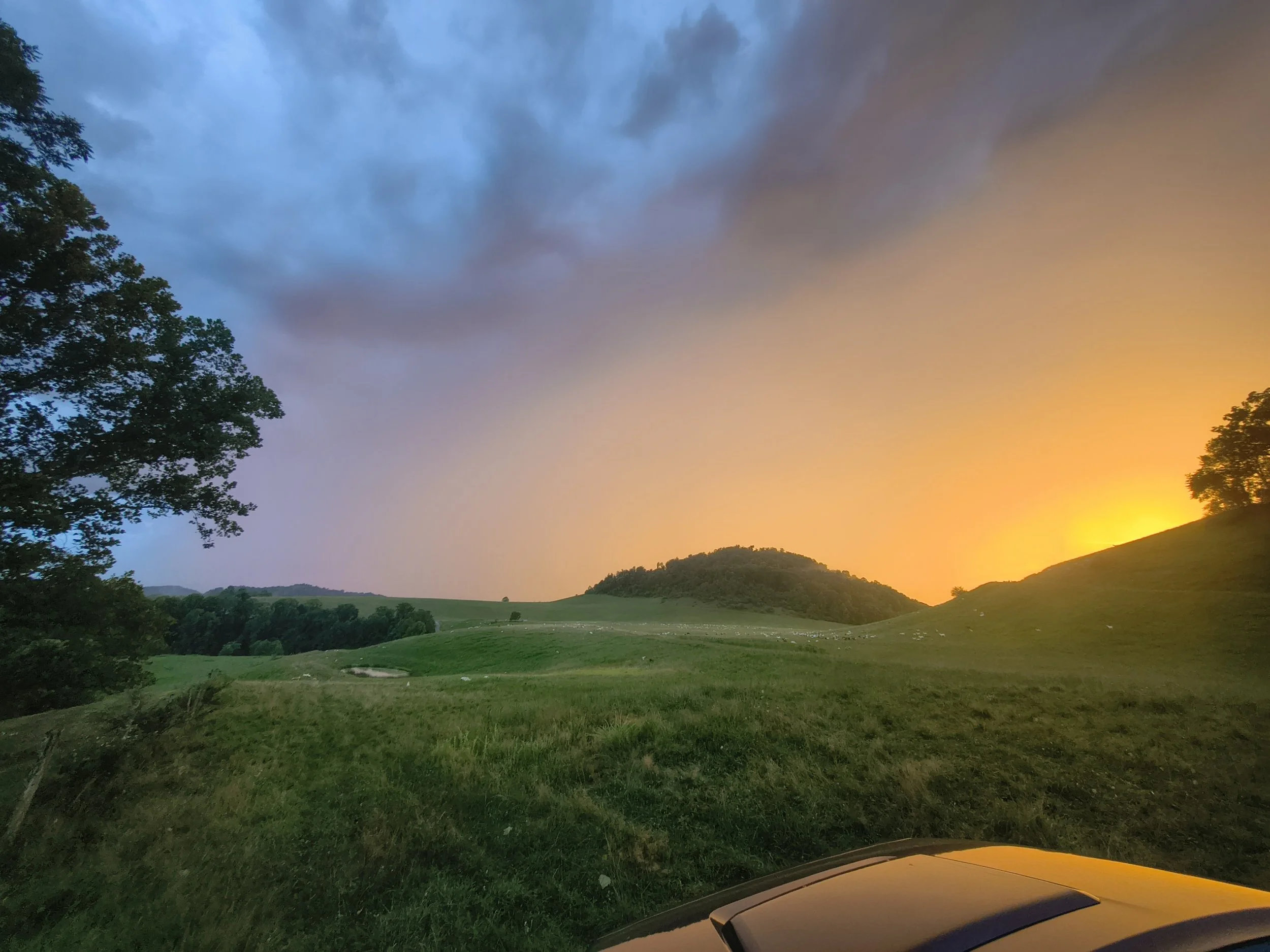 IMG_20260805_201328036_HDR.jpg