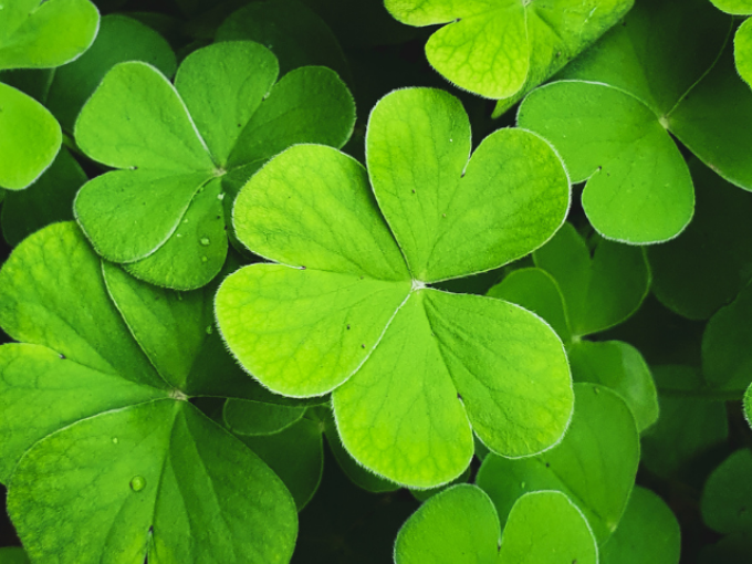 St. Paddy's Irish Evening 