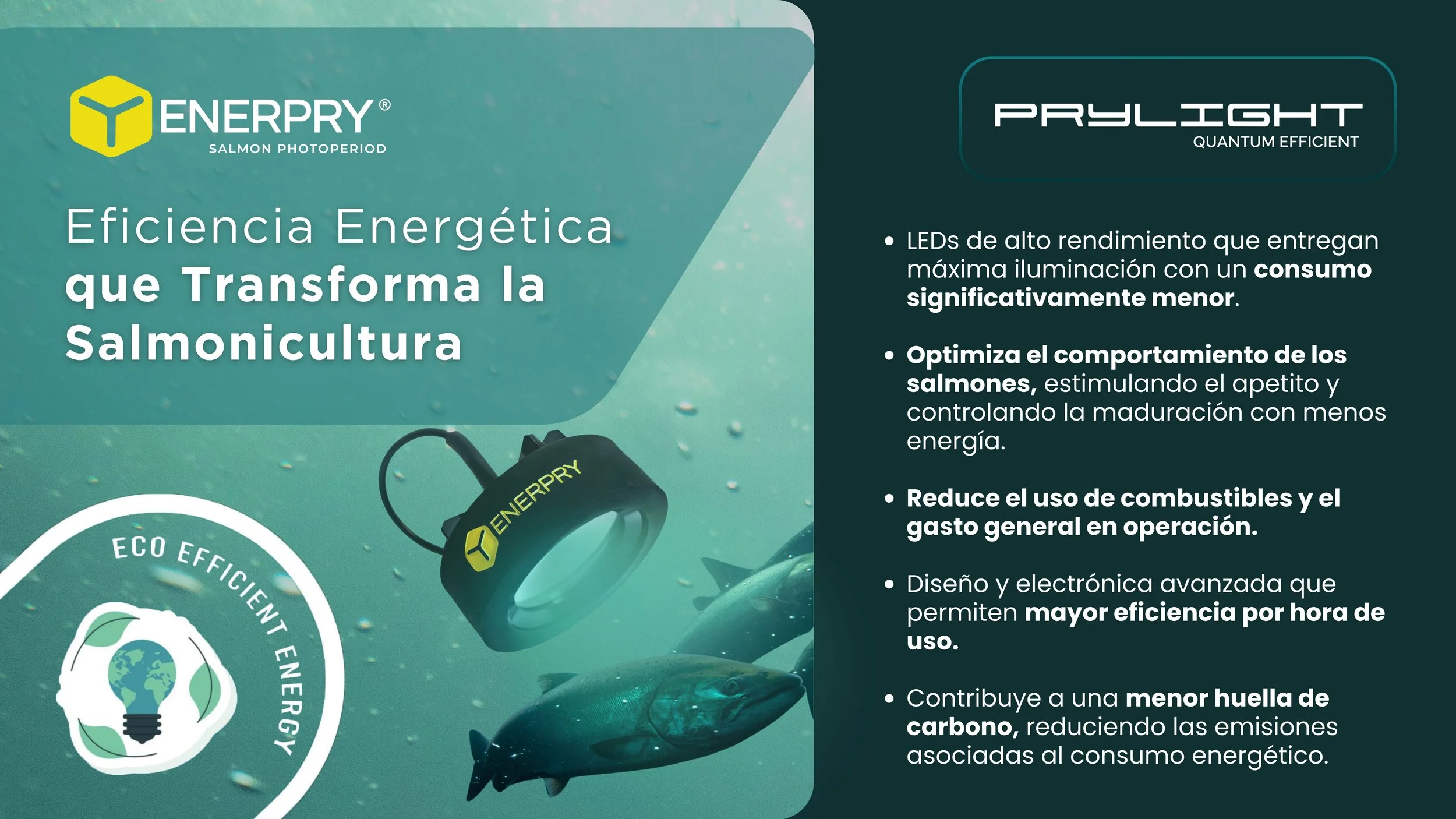 Eficiencia Energética en Salmonicultura: La Clave Tecnológica para un Futuro Más Rentable y Sustentable