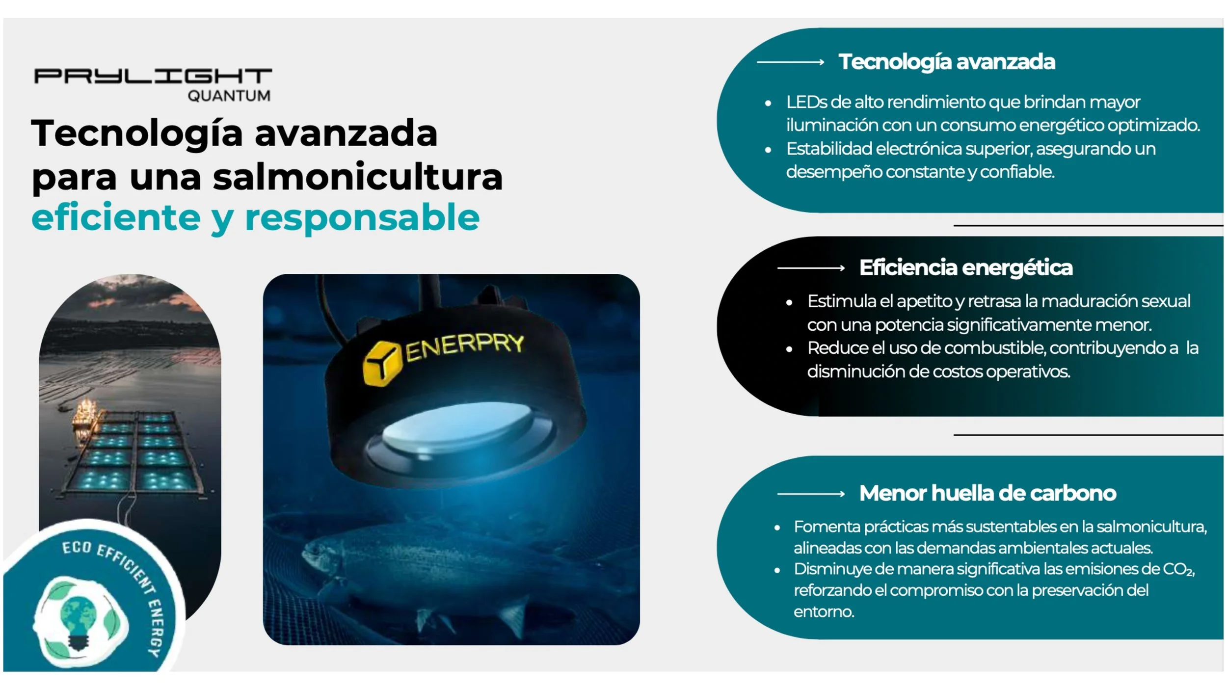 Prylight Quantum: Tecnología Chilena que Impulsa la Eficiencia Energética y la Sostenibilidad en la Salmonicultura