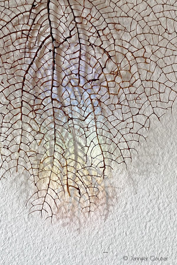webprism.jpg