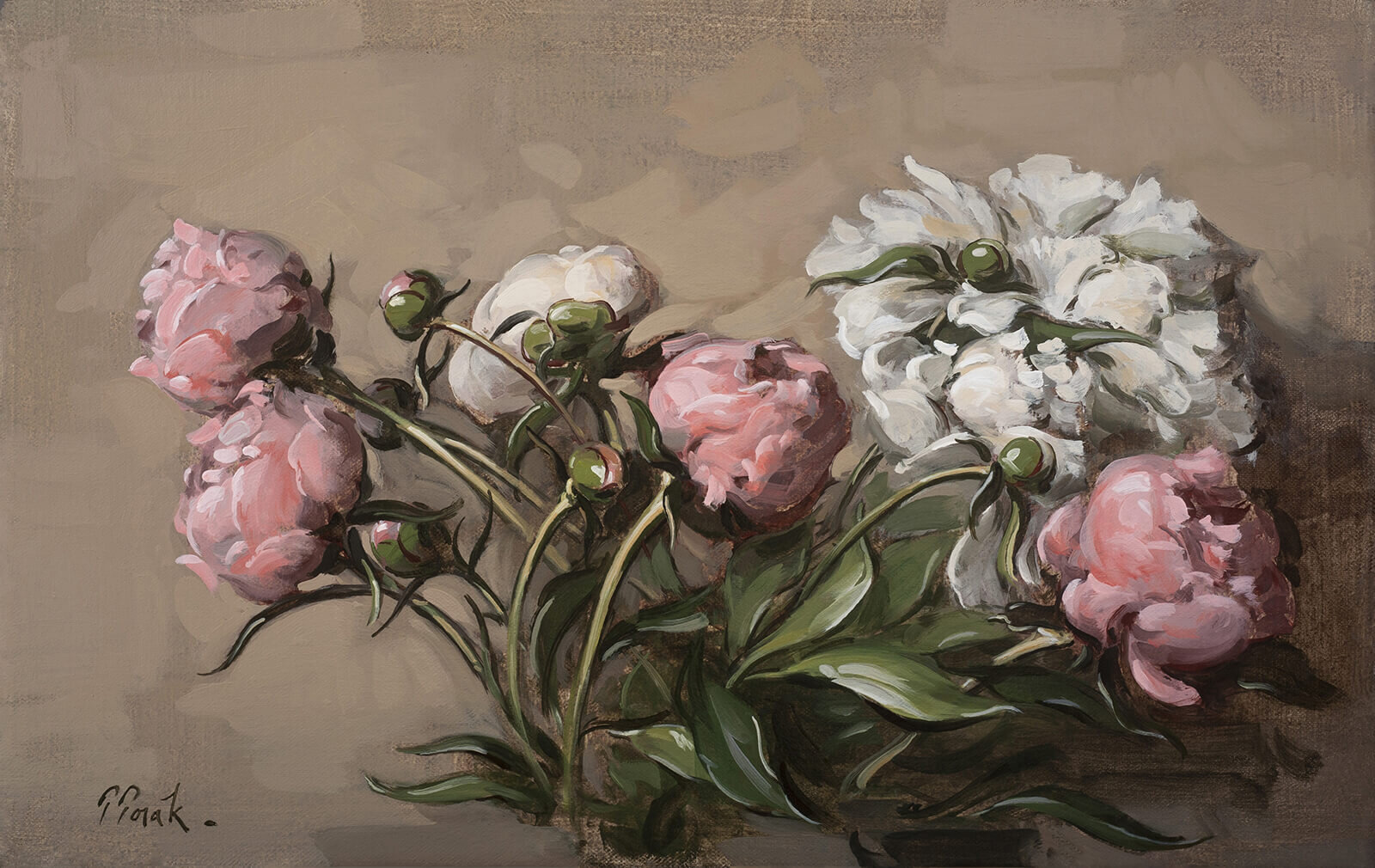 "Study of Peonies" by Thomas Torak, 14"x22", Oil on Linen