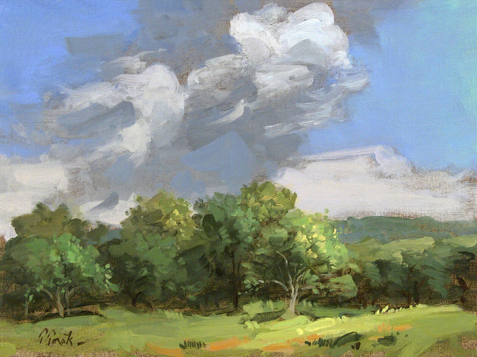 "Sunny Afternoon" by Thomas Torak, 9" x 12", Oil on Linen