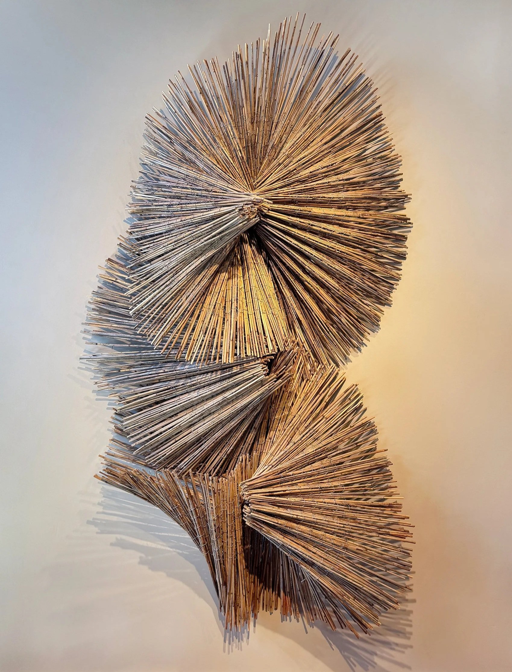 "Ripple" by Stefania Urist, Phragmites and Wire Fencing