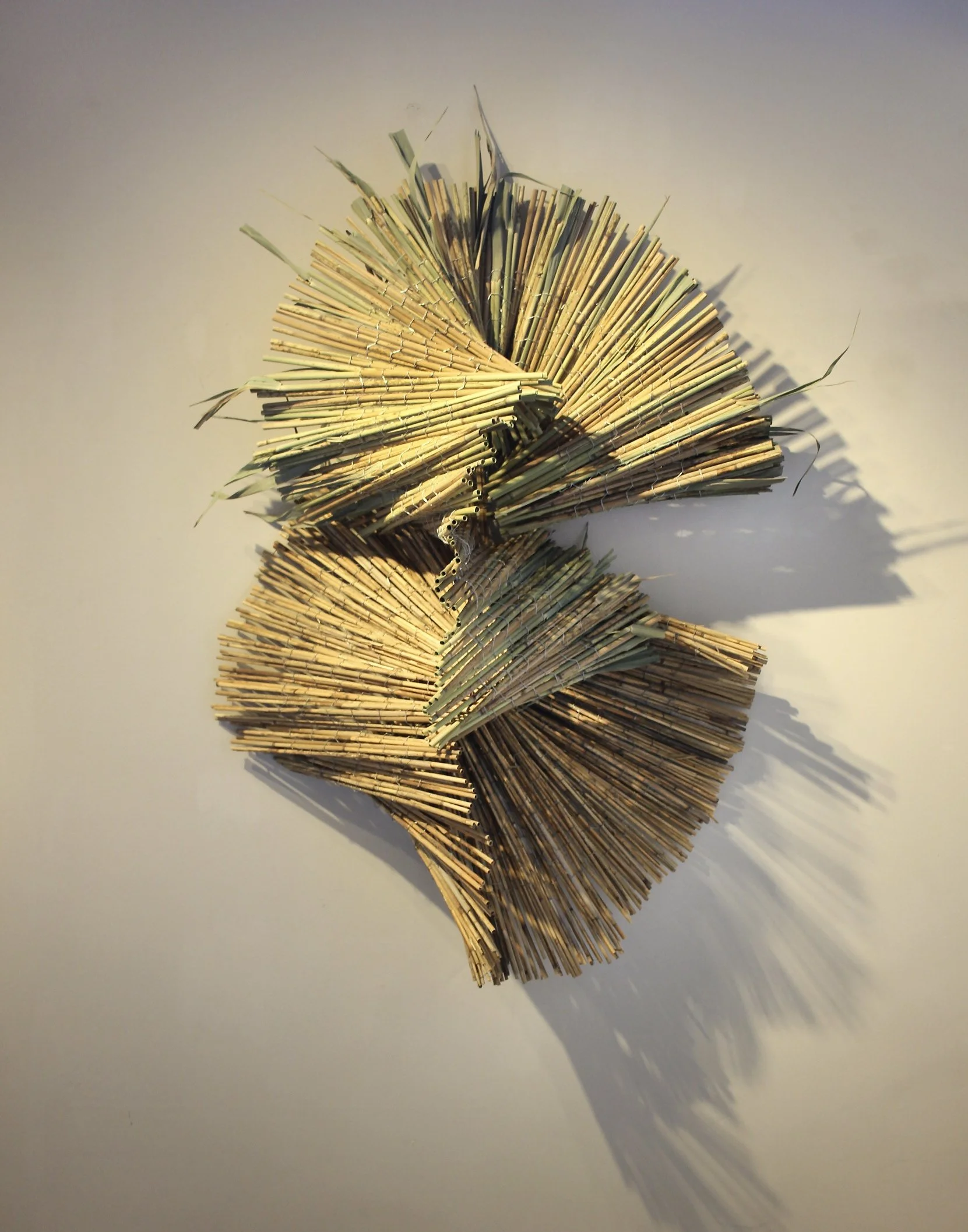 "Cascade" by Stefania Urist, Phragmites and Wire, 50" x 40" x 20”