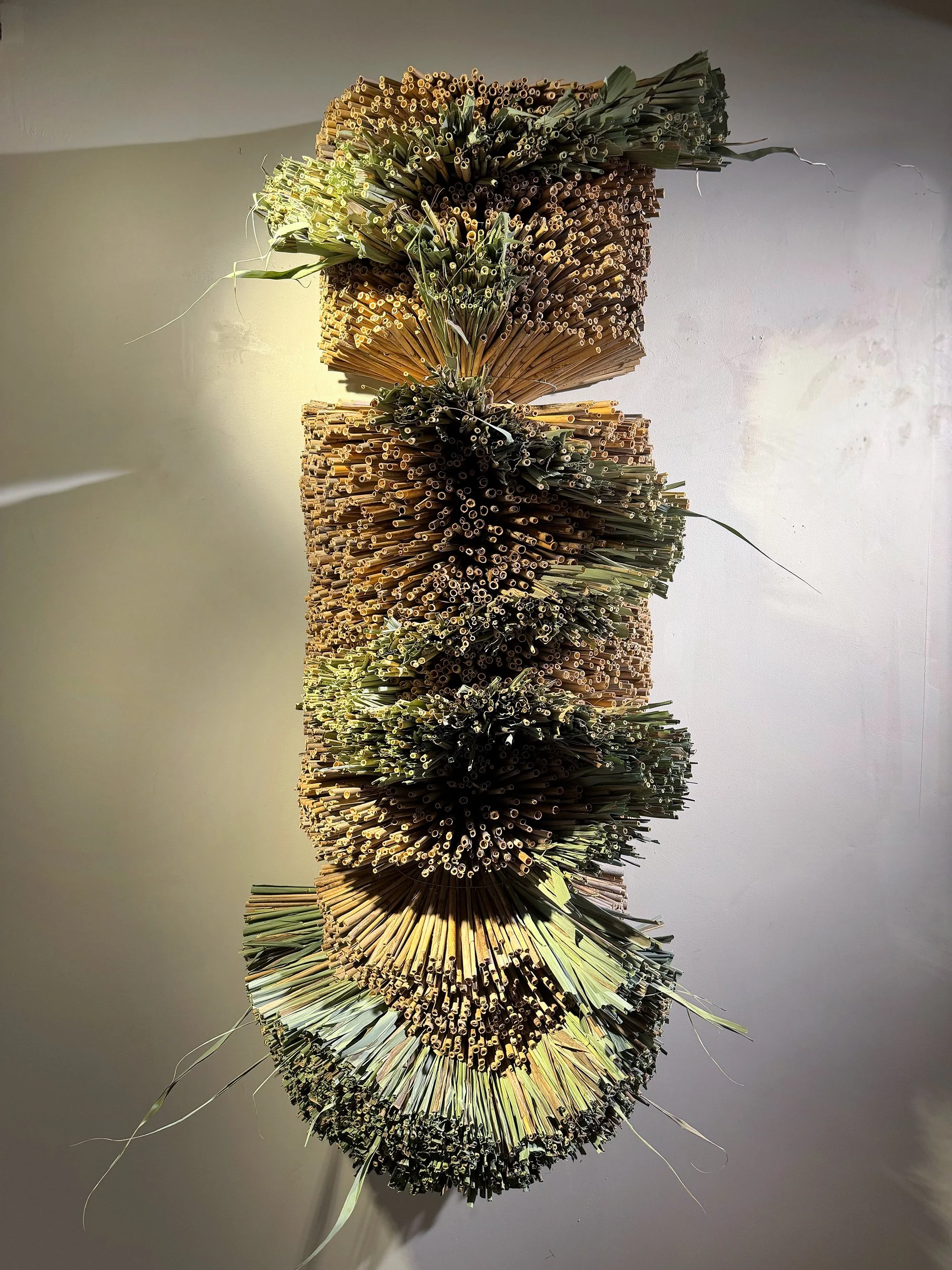 "Root Down, Rise Up" by Stefania Urist, Phragmites and Wire, 20" x 60" x 14”