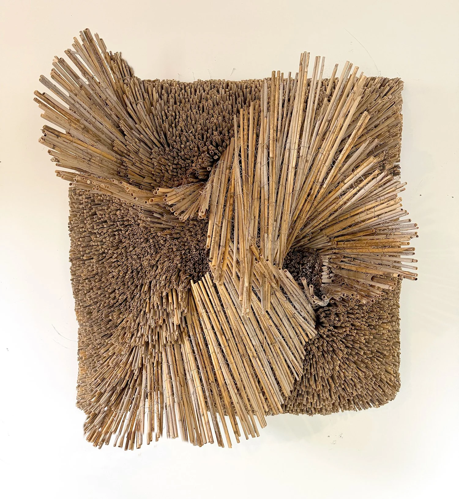 "Flow" by Stefania Urist, Phragmites and Wire, 48” x 48” x 24”