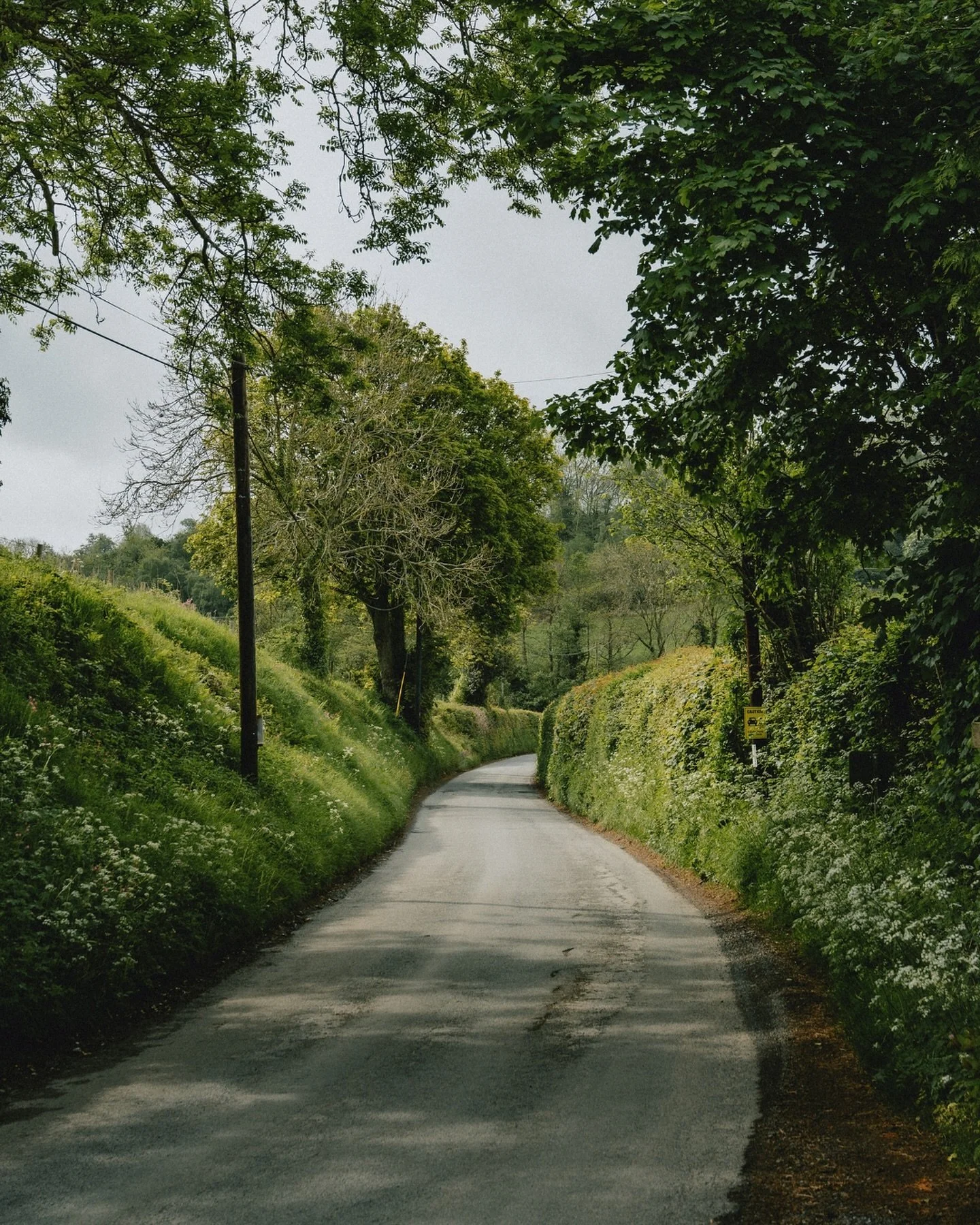 Exploring the local landscapes.

Captured by @dpc_photography_