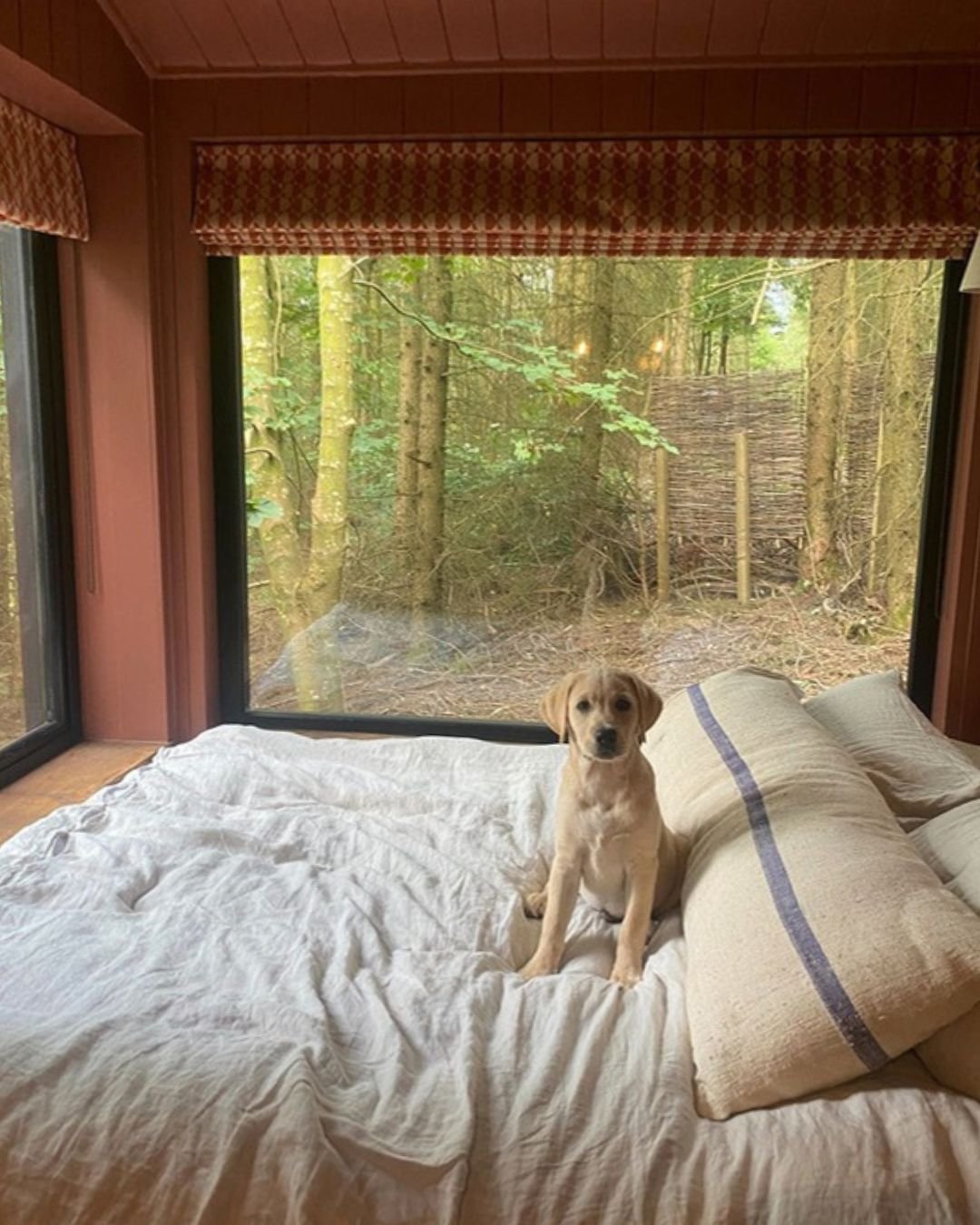 Hidden in the wild, our cabins are made for real rest. For you and your four-legged friend.
.
.
.
.
.
Captured by recent guest, @sarahmorgann_x

📍 Yorkshire Dales

#wildandfree #restisradical #Rest+Wild #RestandWild #retreat #wild #couplesgetaway #r
