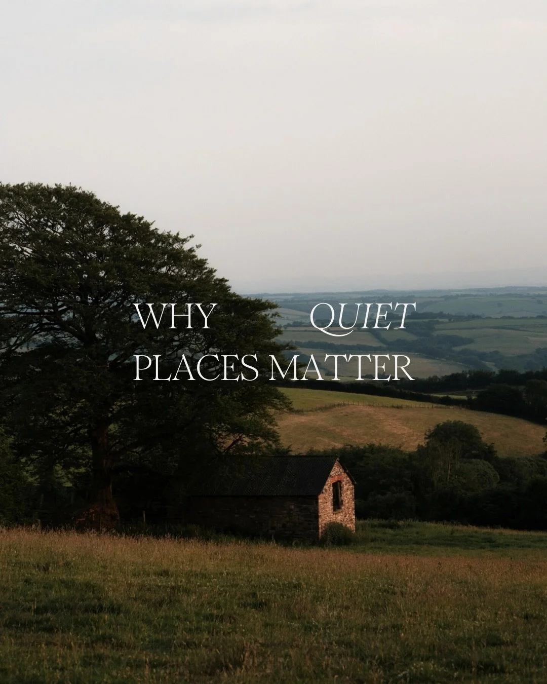 Exmoor is one of only twenty Dark Sky Reserves on the planet. The skies are darker, the air is still, and time moves at a pace you forgot existed. Something happens when the noise drops away, you start to hear yourself again. 
The days feel longer. 
