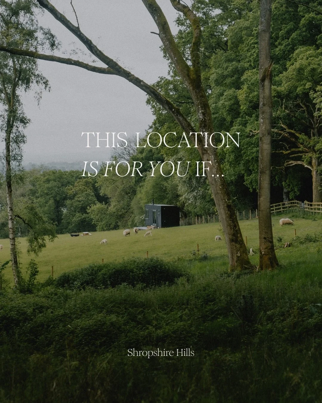 Shropshire Hills is for the ones who want a walk with a pub at the end of it. A river to swim in. A market town ten minutes away. And a cabin worth coming back to.

This is your kind of place.

Book your Shropshire escape &mdash; link in bio.

📍 Shr