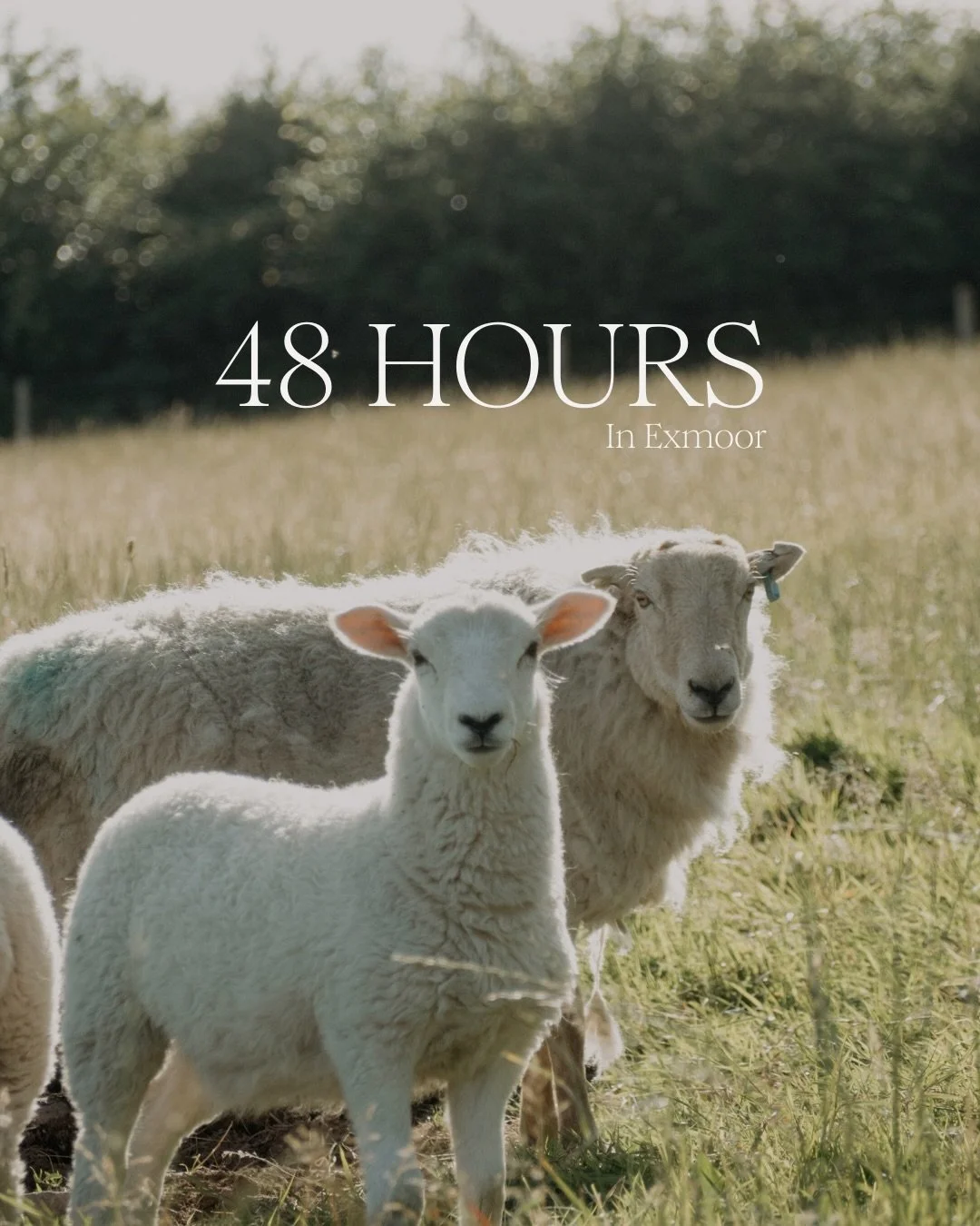 Rest in the moors.

Morning coffee and open moorland that rolls for miles. The climb up Dunkery Beacon with views stretching to the Bristol Channel. Walking the coastline at the Valley of the Rocks. A table at The Mason&rsquo;s Arms before heading ba