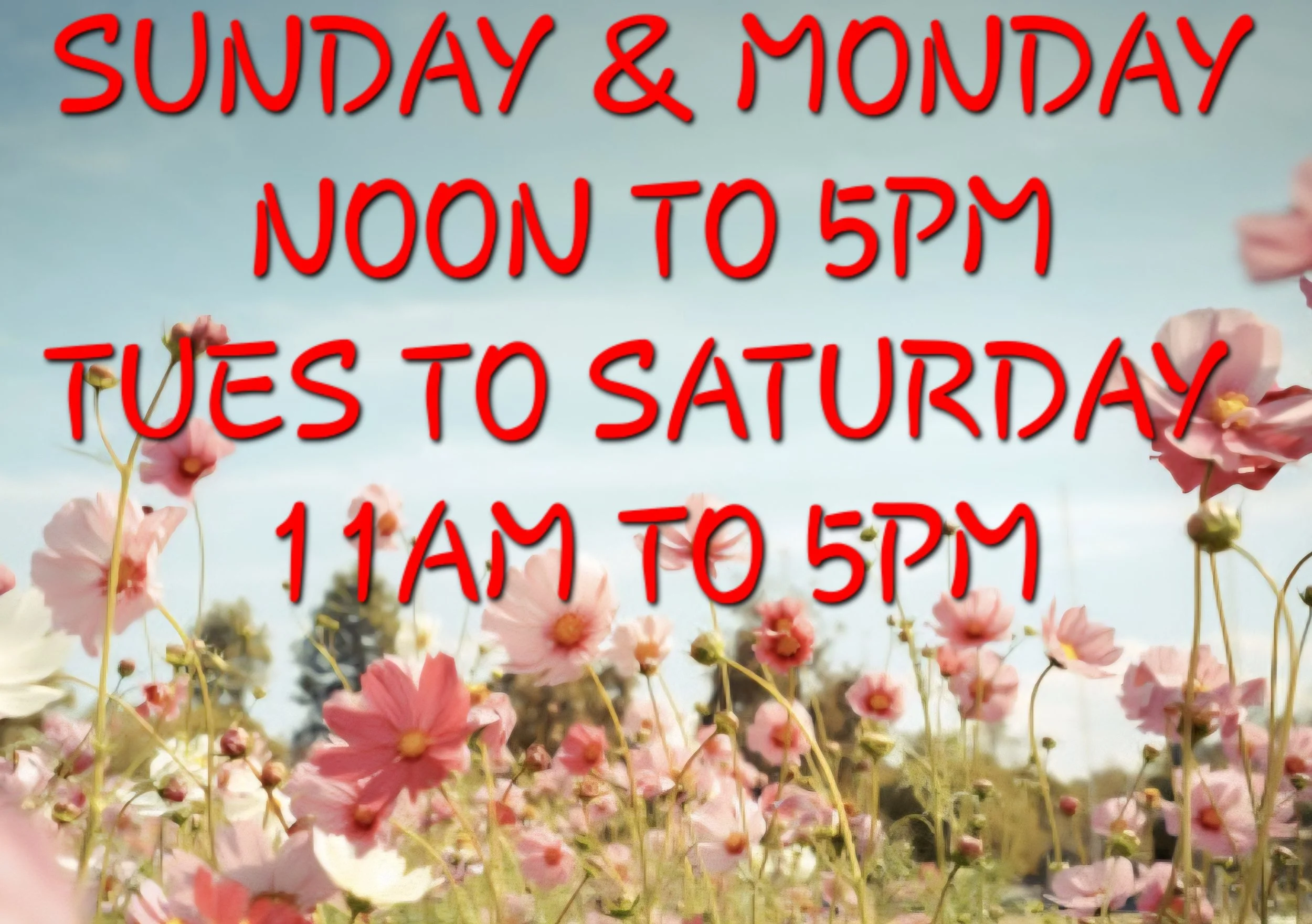 Screenshot_20260216_172230_Samsung Internet.jpg