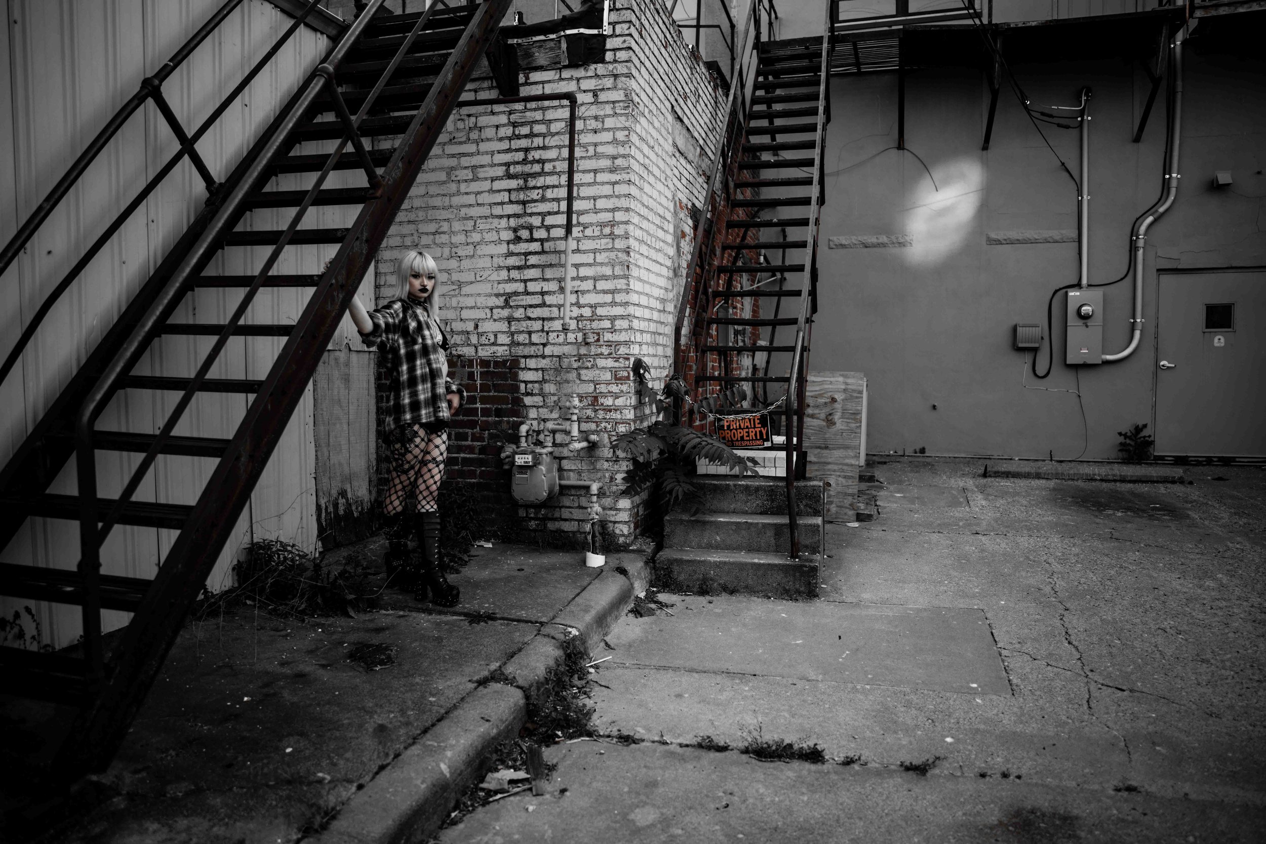 ZW9_4825 copy-2.jpg