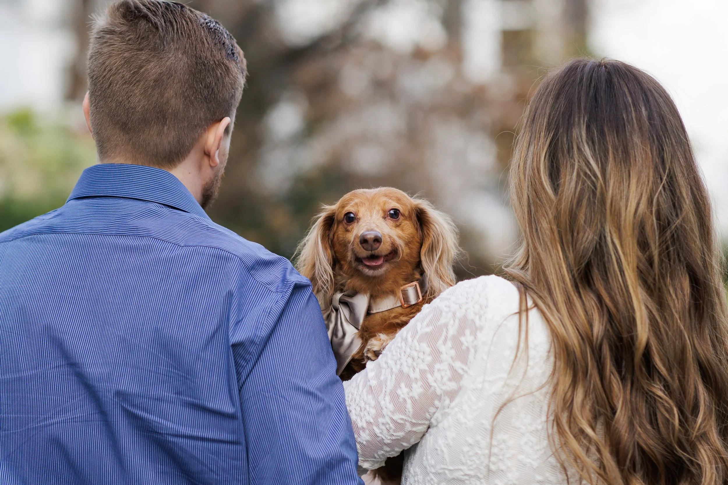serenbe-engagement-session-beth-and-keegan-dog-portrait.jpg