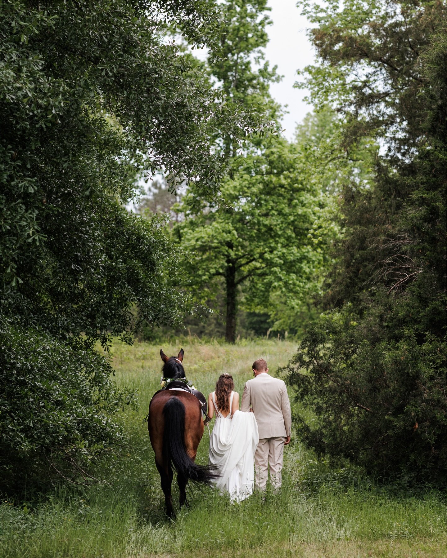 The Harts // A beautiful and rainy Saturday in April

When you transform your family farm into a wedding venue, it takes on an even deeper, more meaningful place in your story.

I still remember photographing Claire and Peter&rsquo;s engagement sessi