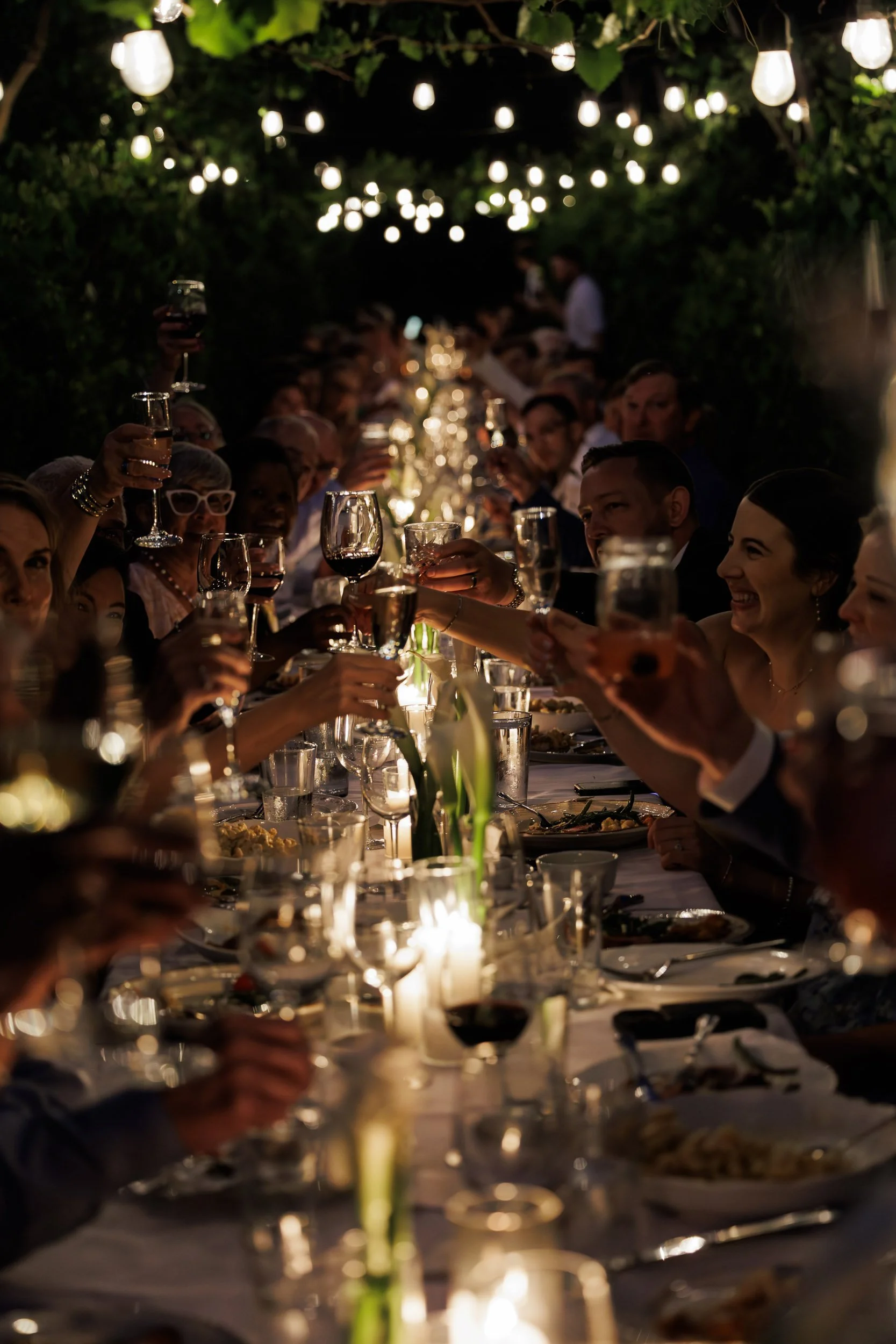 Guests Toasting the Newlyweds