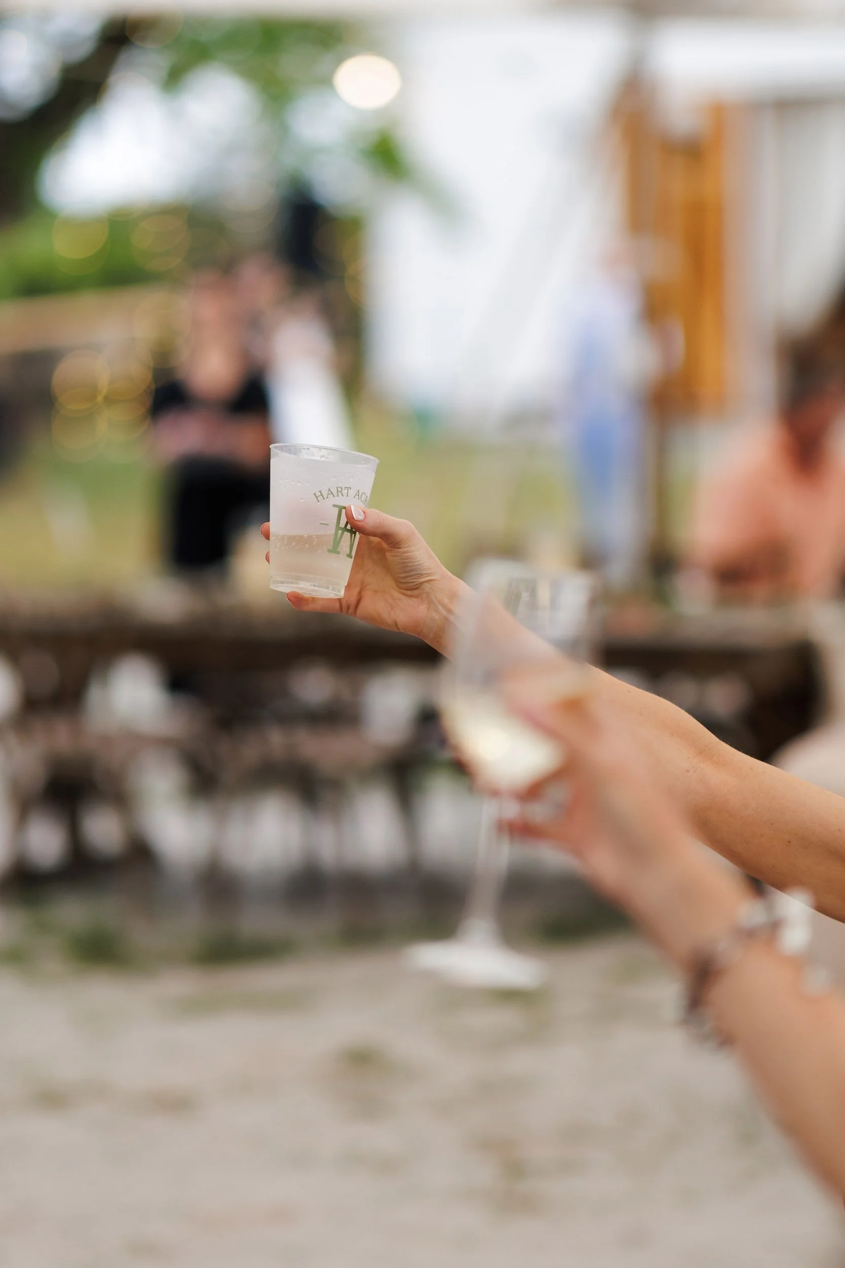 hart-acres-wedding-reception-07.jpg