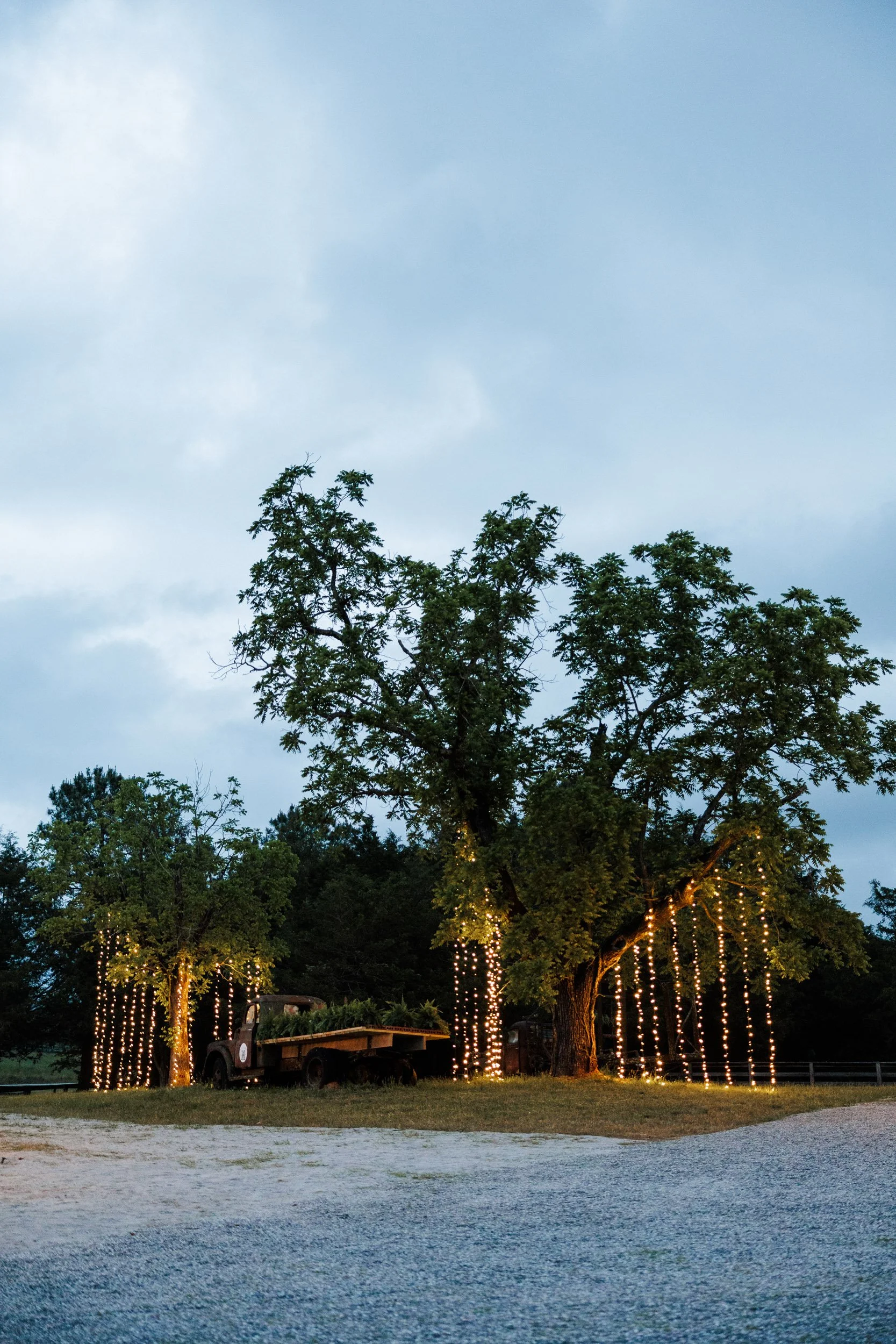 lavonia-ga-farm-wedding-details-20.jpg
