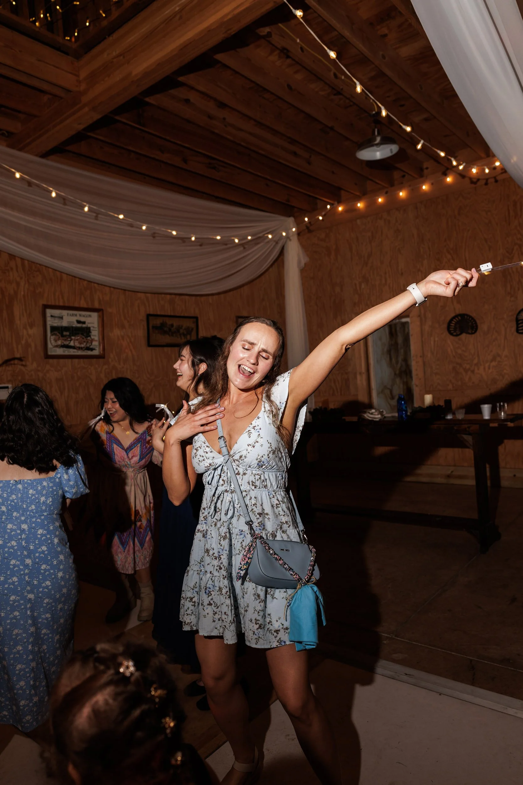 lavonia-ga-farm-wedding-reception-17.jpg