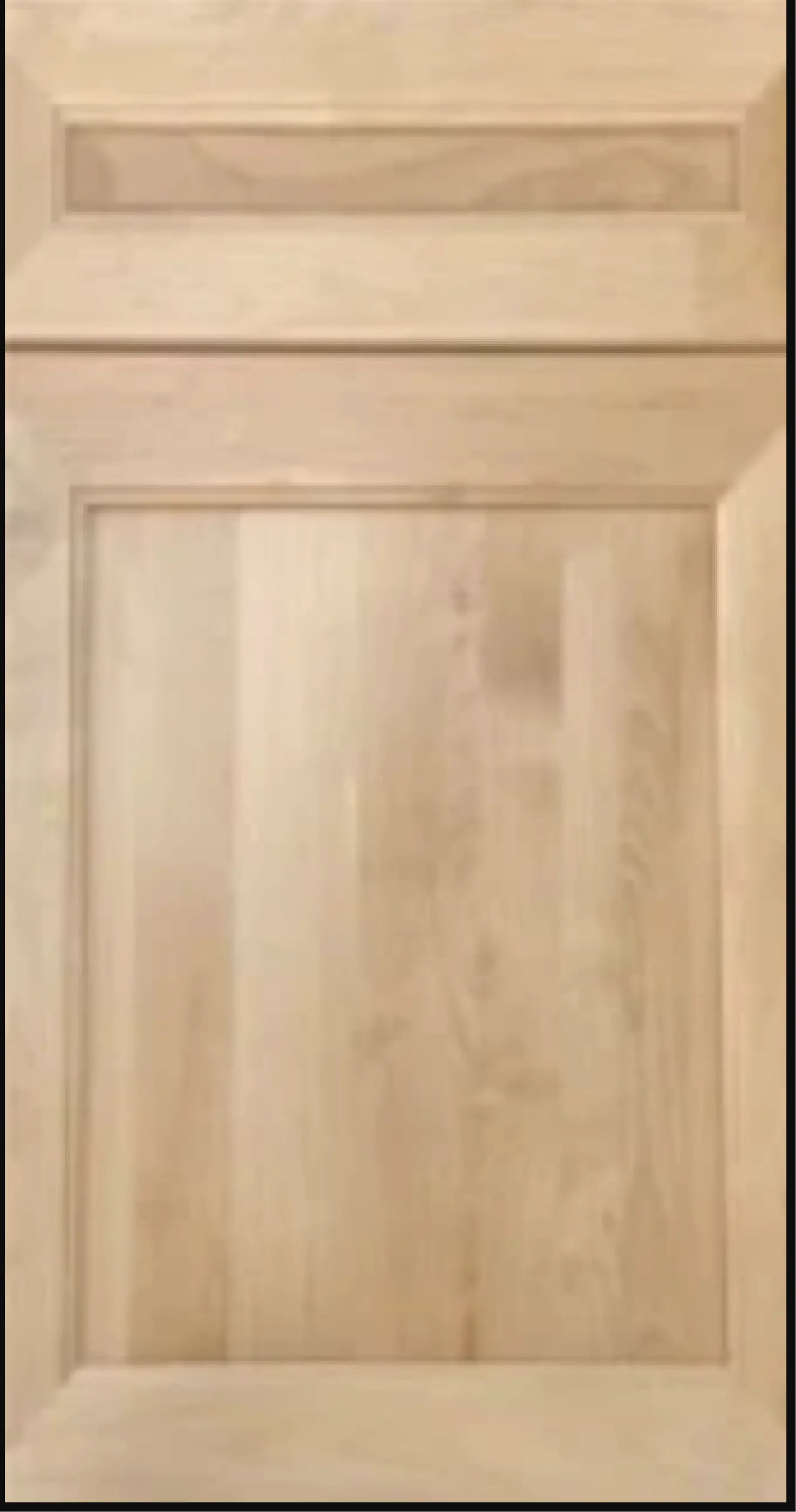 Fuji Light Double Shaker 