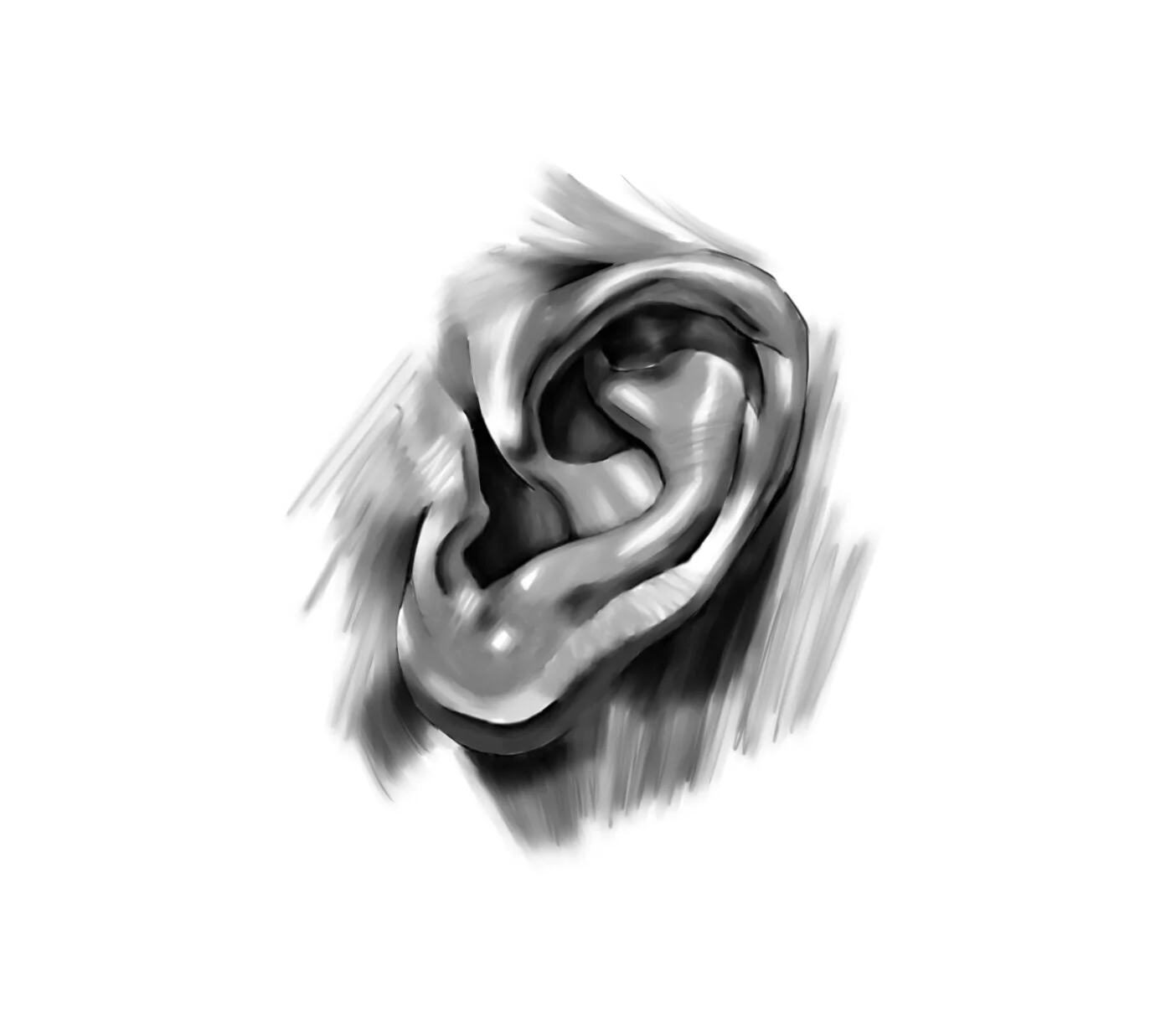 Ear Study-Digital Media