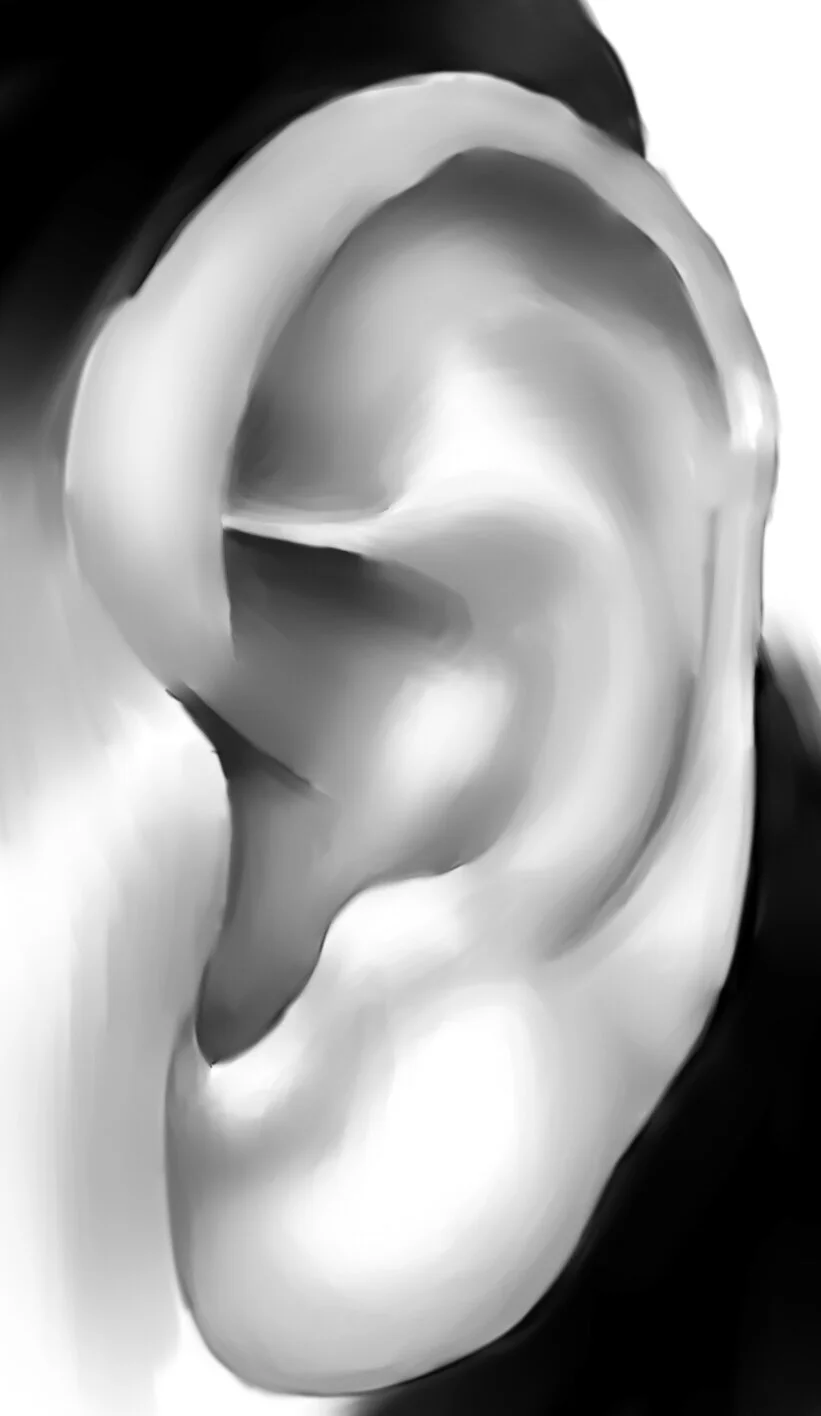 My Ear-Digital Media