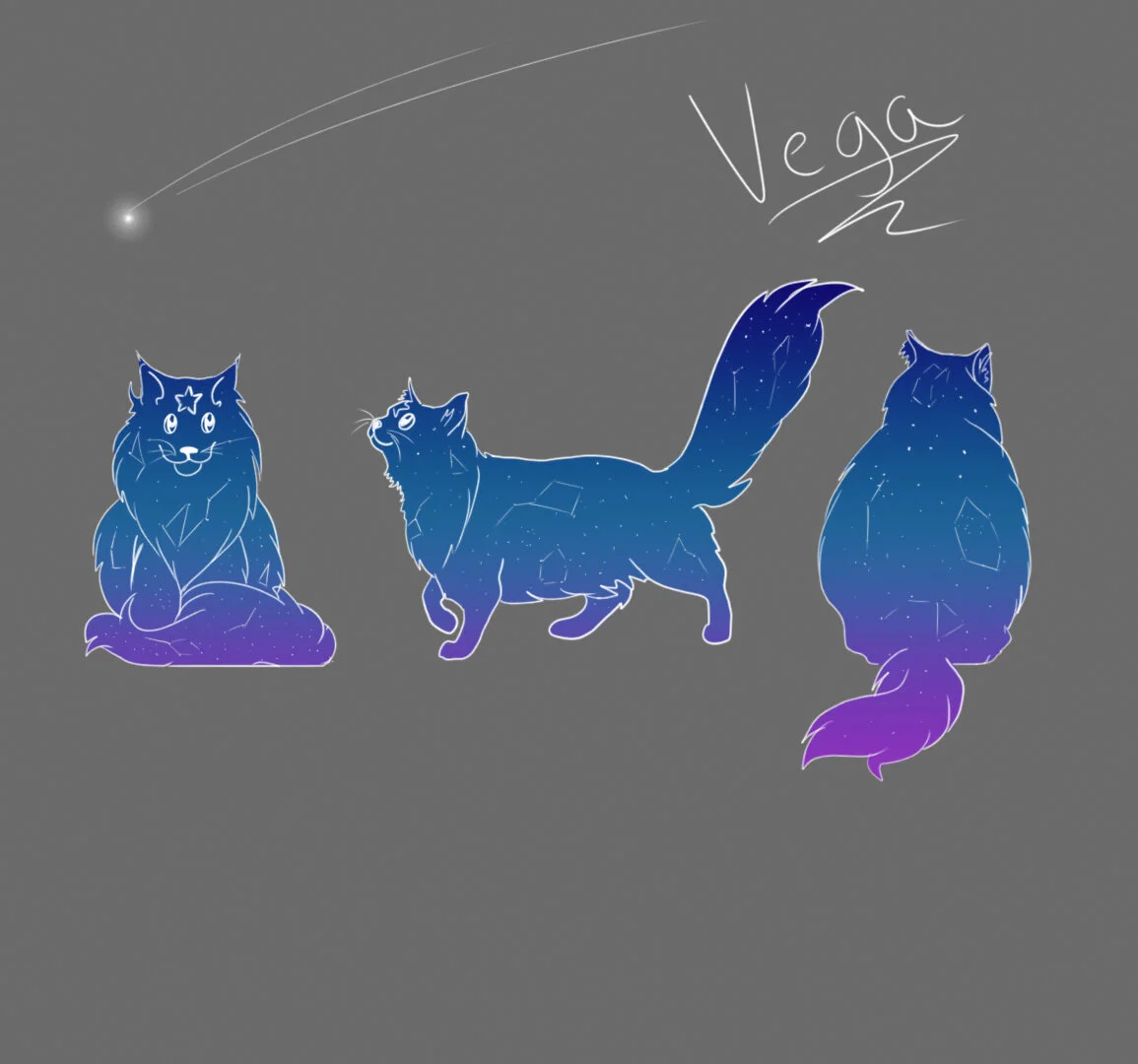 Vega Turnaround-Digital