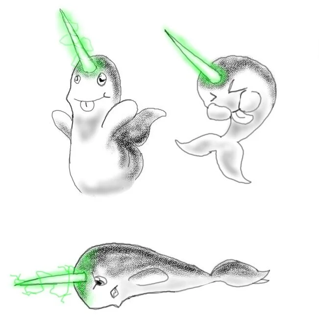 Lenny Narwhal Design