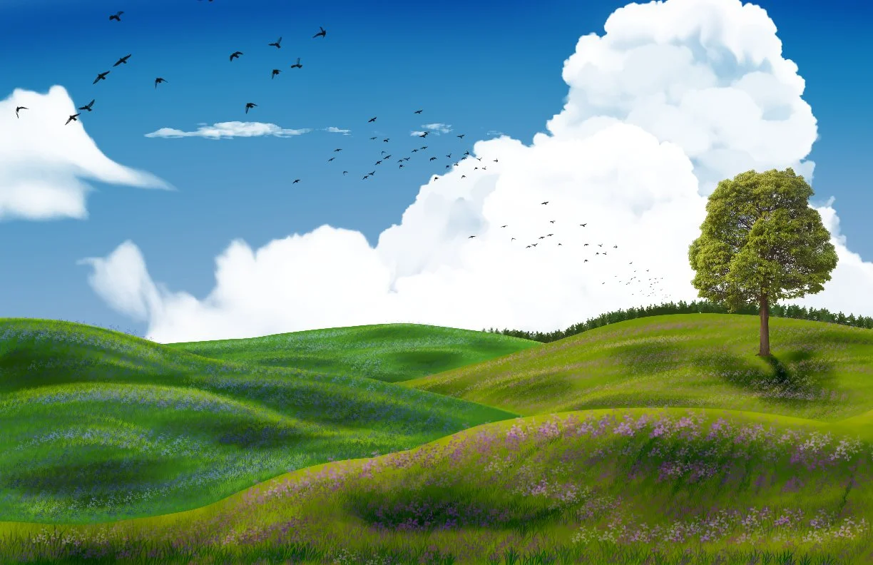 Open Valley of Flowers