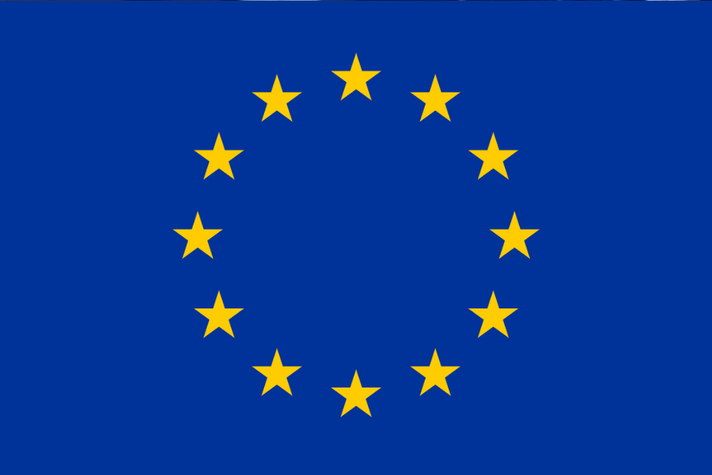 EU project.png