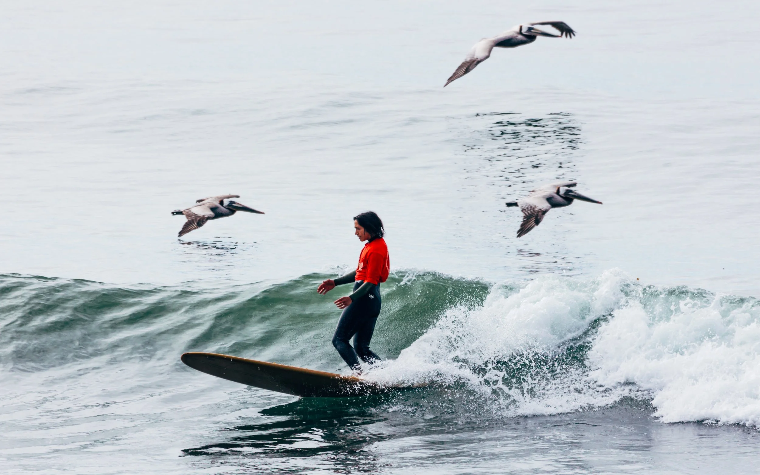 2024_04_28 LogJam KR-4.jpg