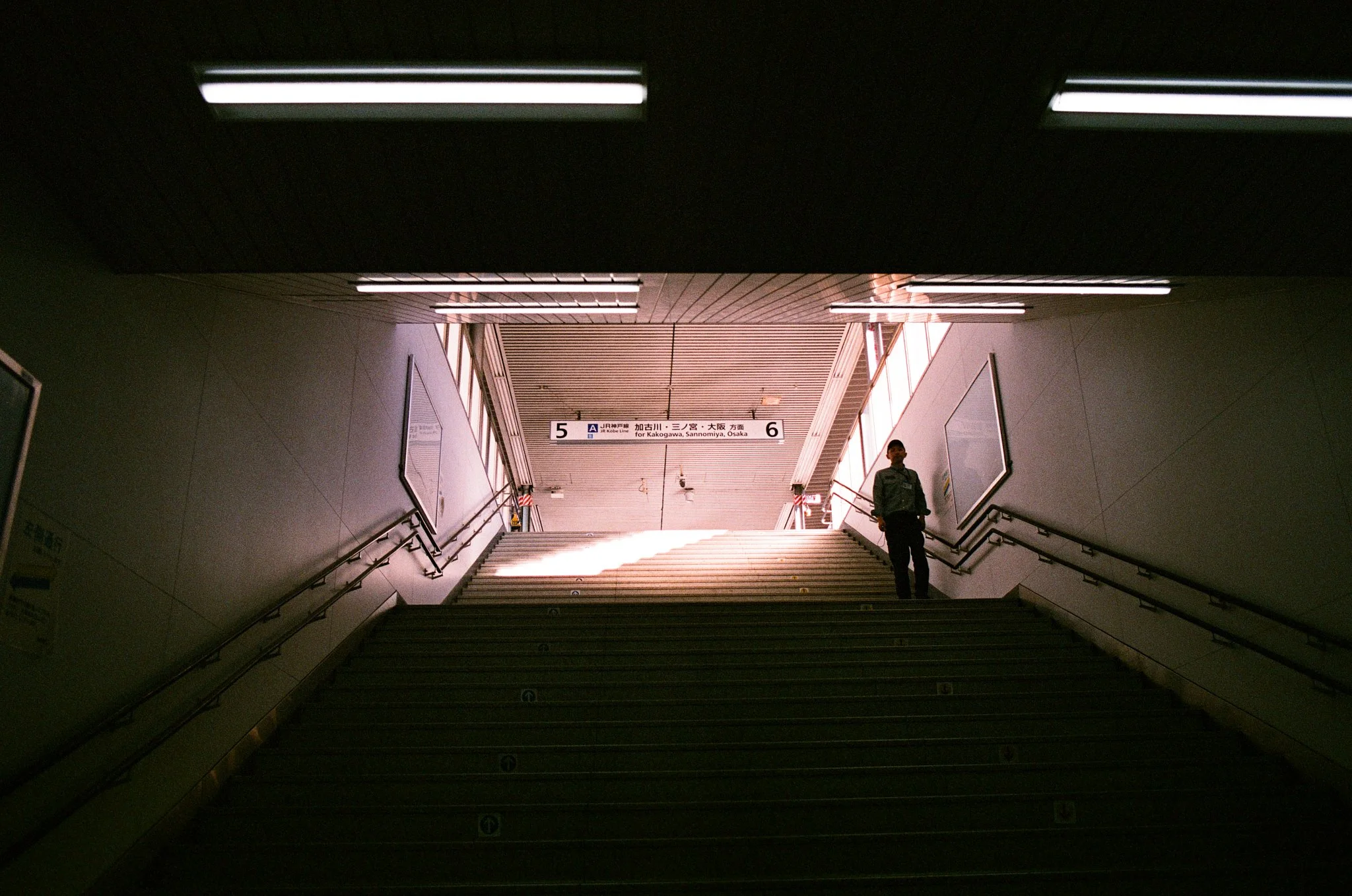 000019950027 web 1.jpg