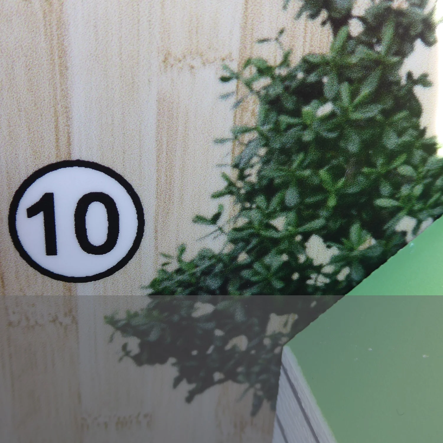 10. Trees