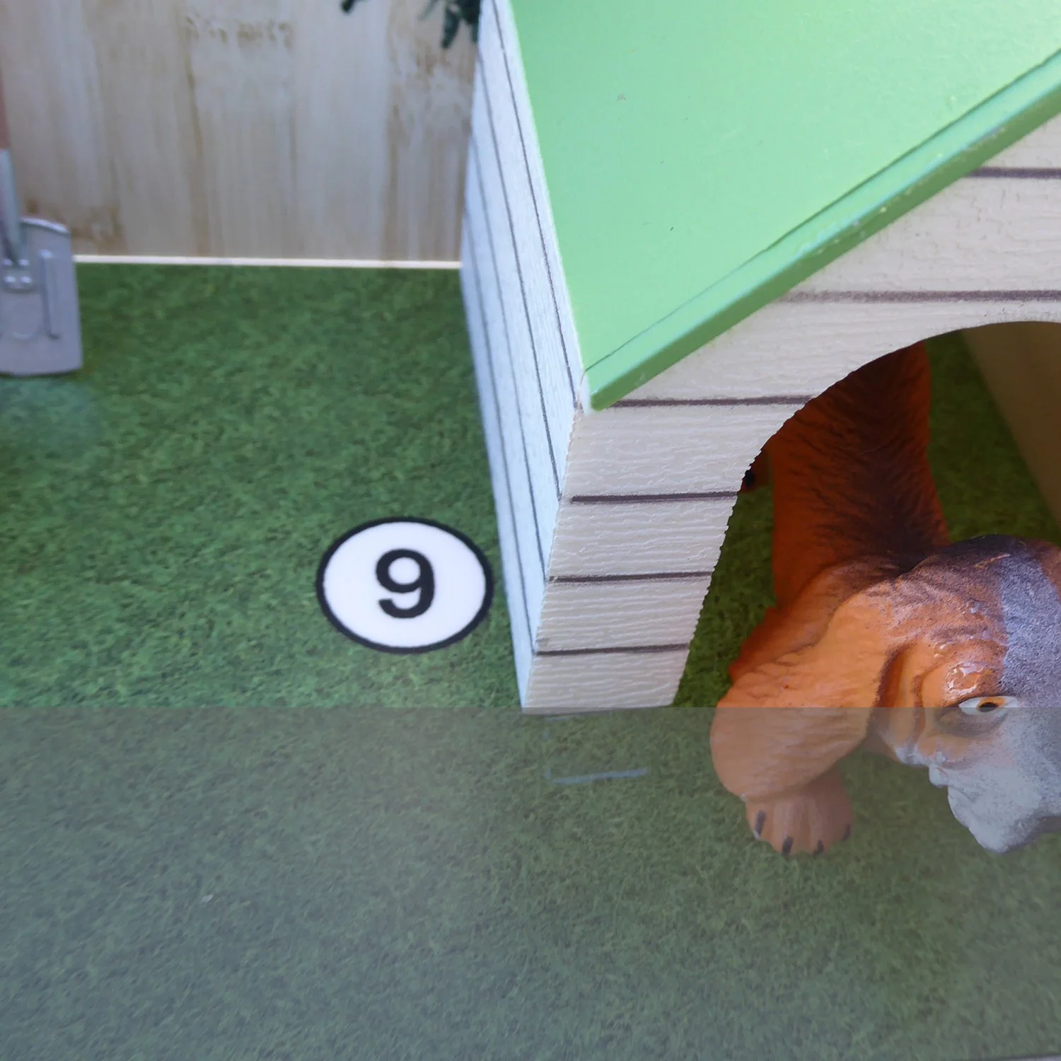 9. Grass