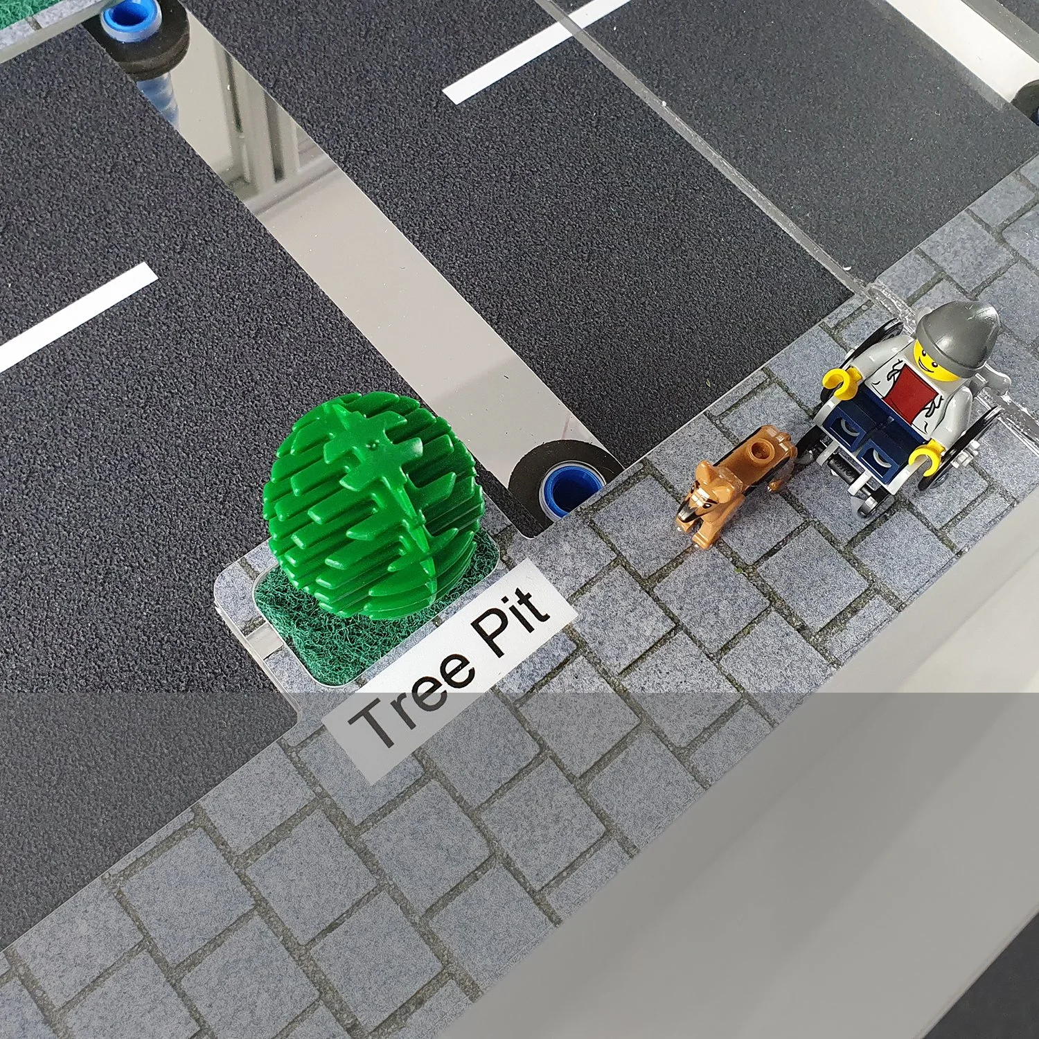 The tree pit absorbs surface water from the road, and is connected to underlying drainage to prevent waterlogging and to allow excess water to drain away.