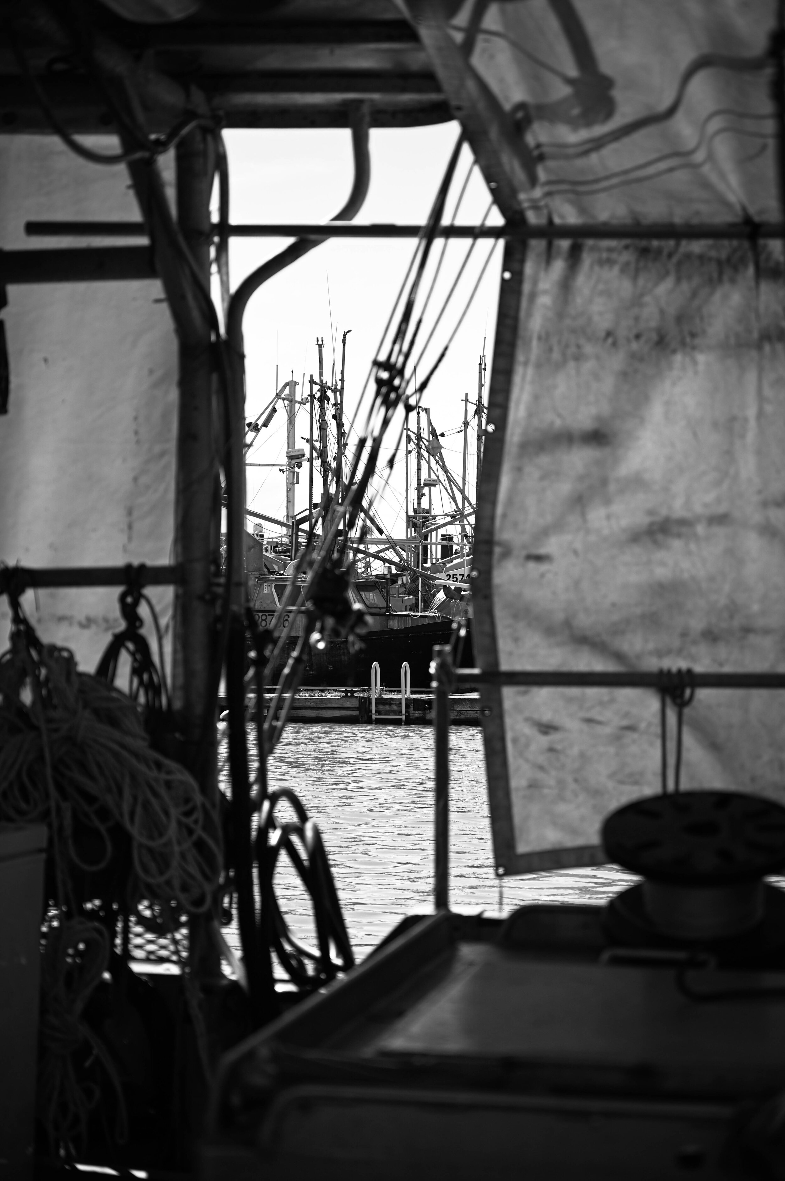 Justine Banszky Photography edmonton 4.jpg