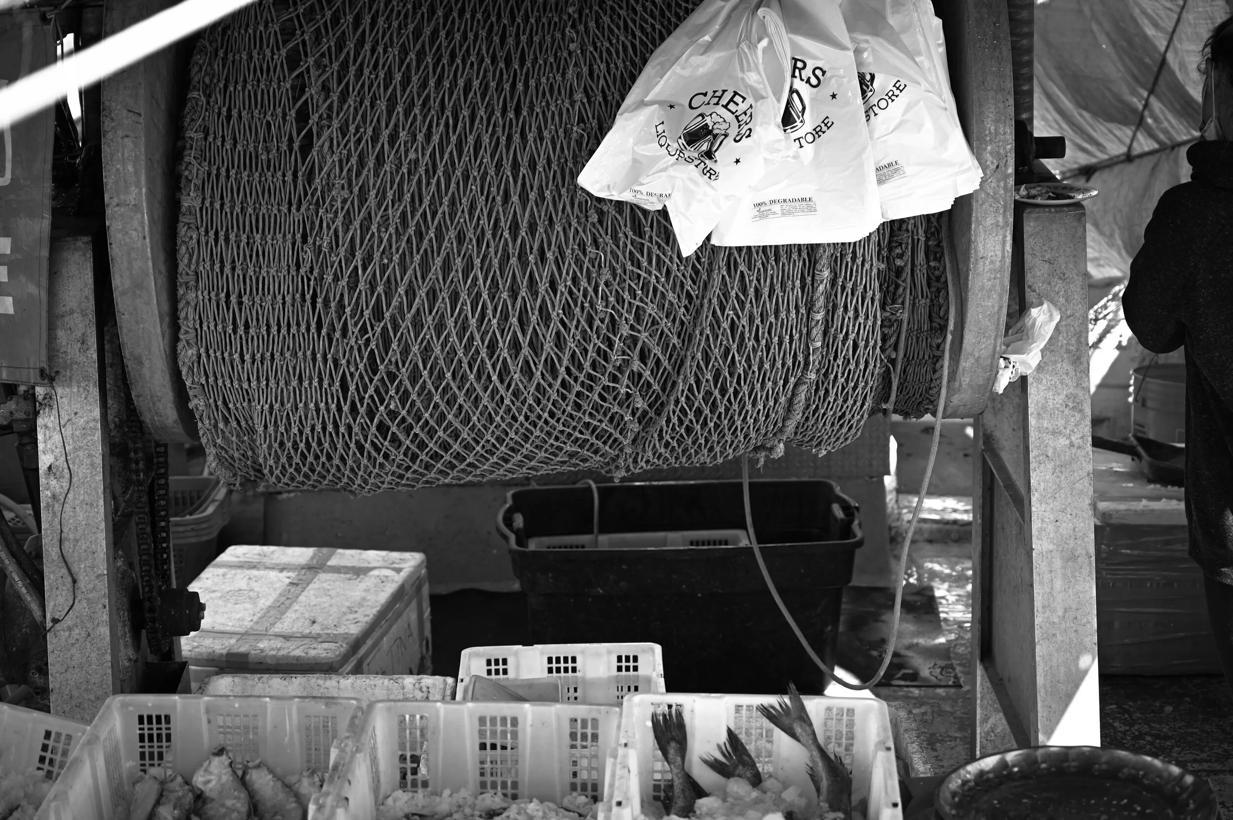 Justine Banszky Photography edmonton 8.jpg