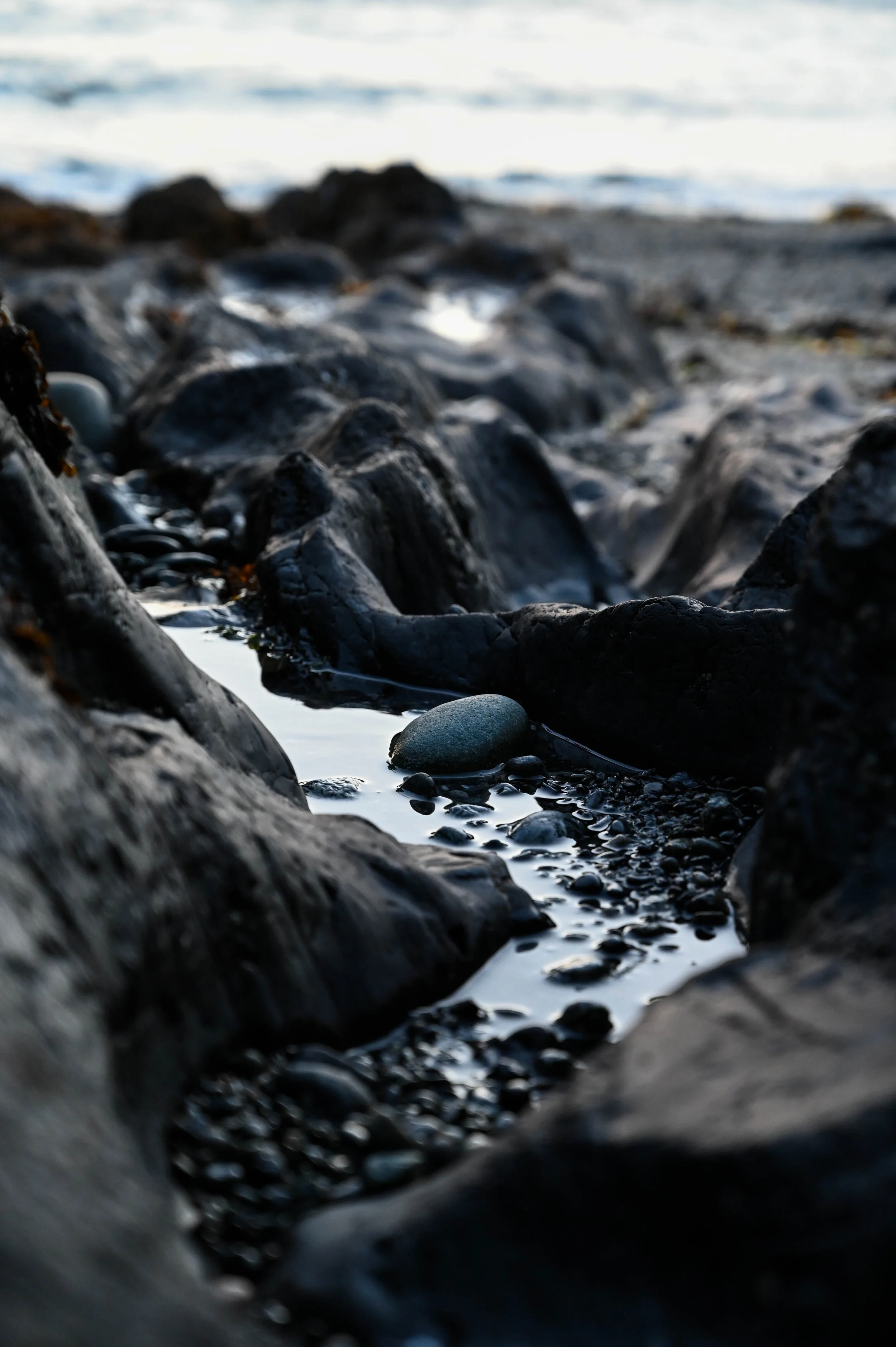 Justine Banszky Photography edmonton 13.jpg