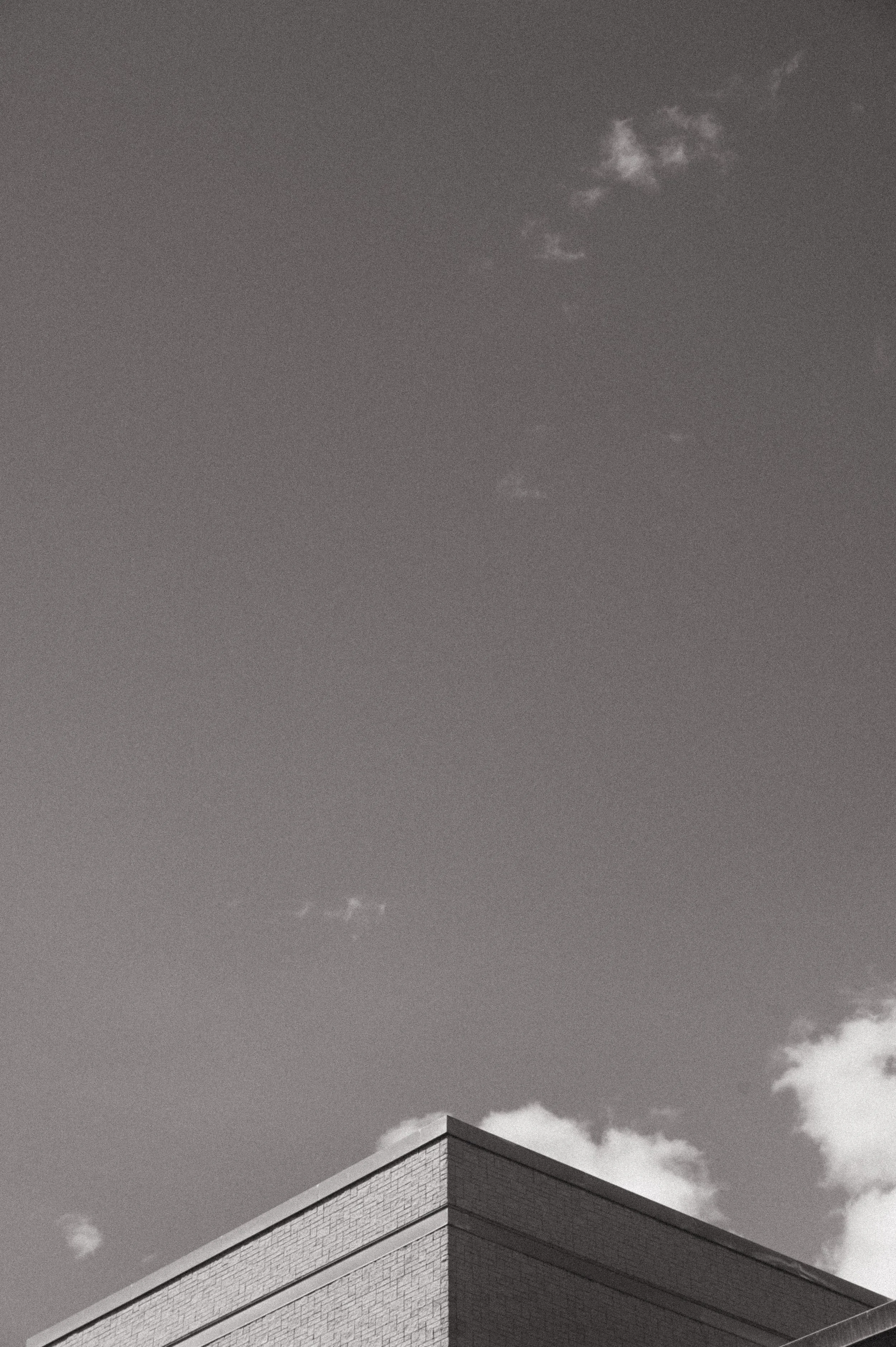 DSC_2194.jpg